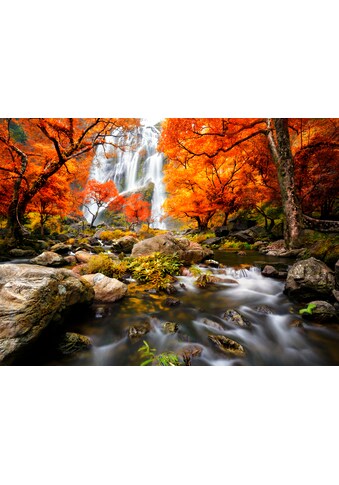 Papermoon Fototapetas »Autumn Waterfall«