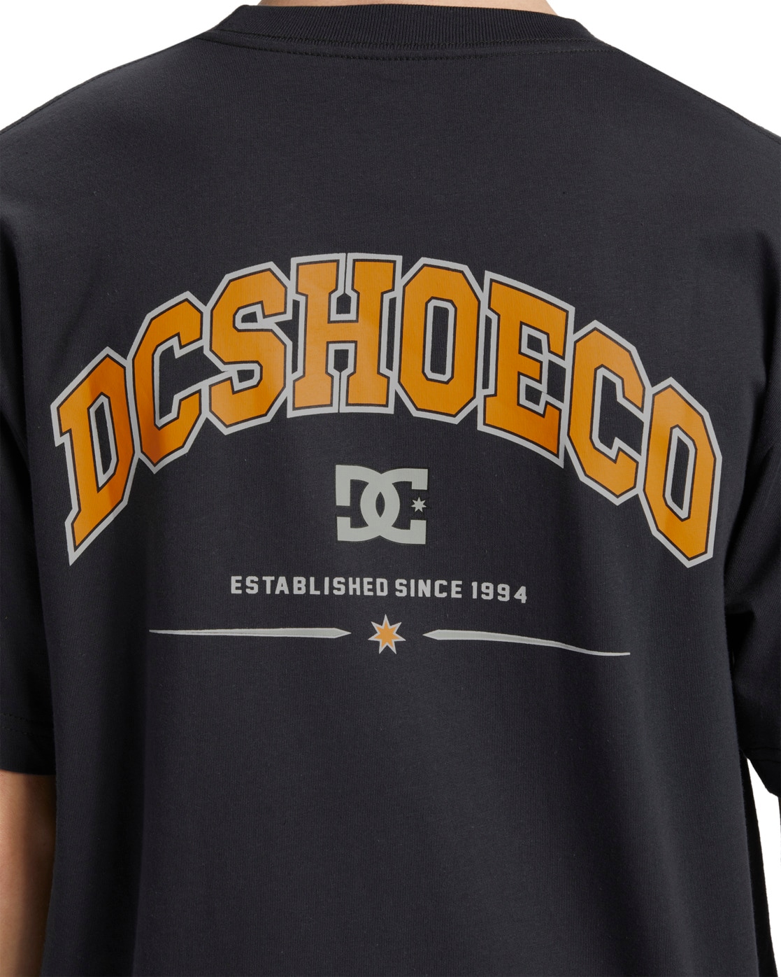 DC Shoes T-Shirt »Orientation«