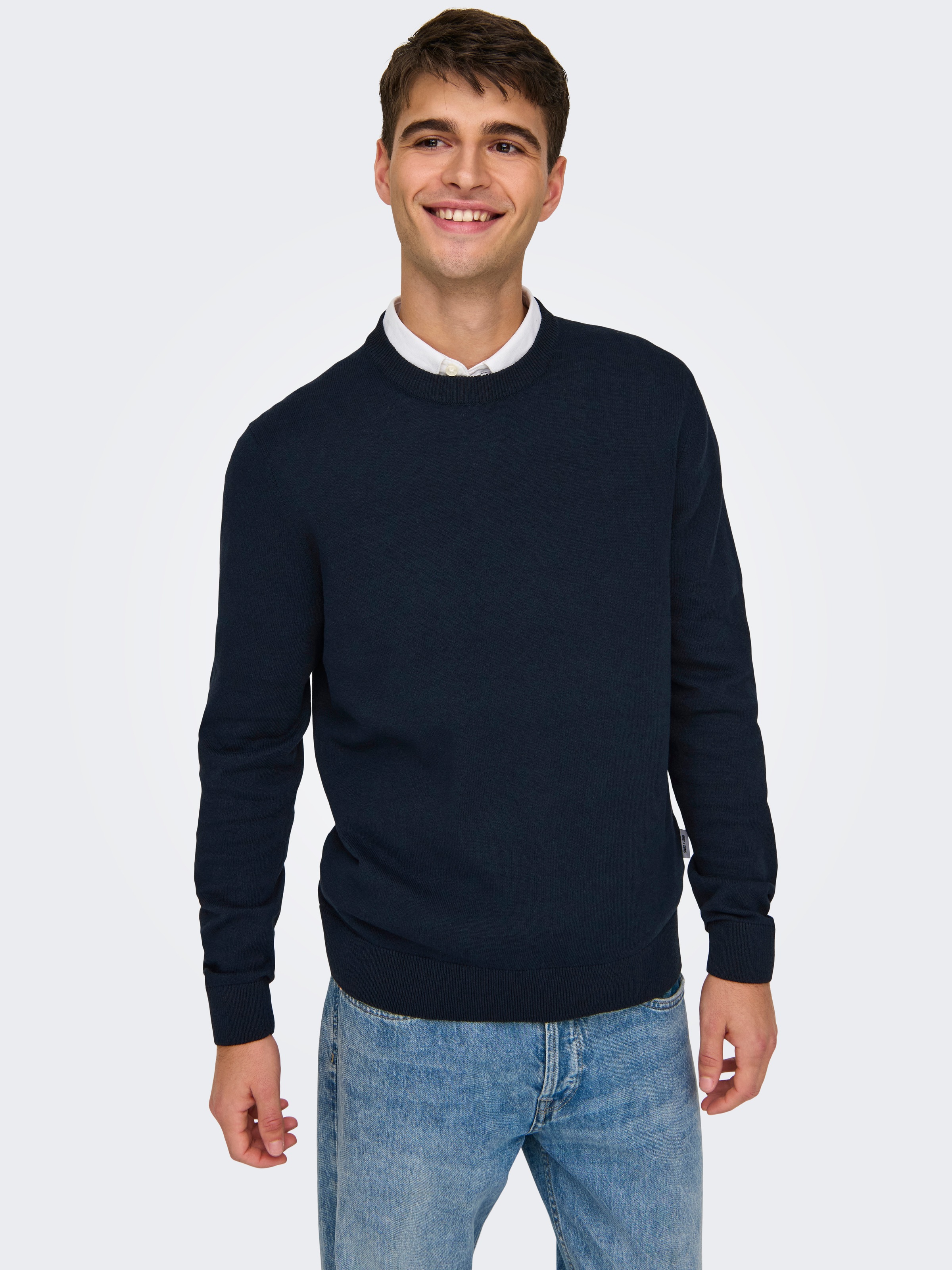 ONLY & SONS Rundhalspullover "ONSREX LIFE REG 12 CREW KNIT" günstig online kaufen