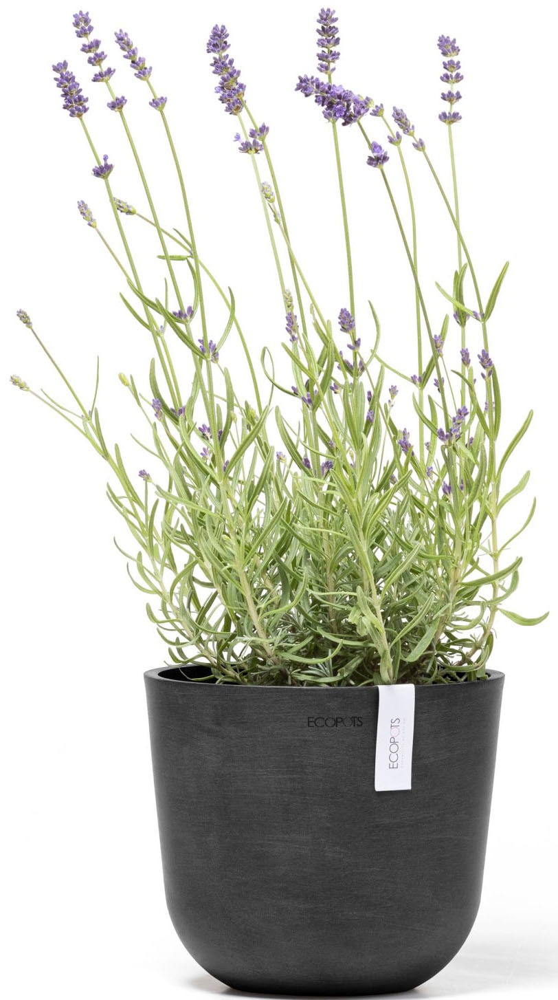 ECOPOTS Blumentopf »Oslo Mini 19 Dunkelgrau« für den Innenbereich