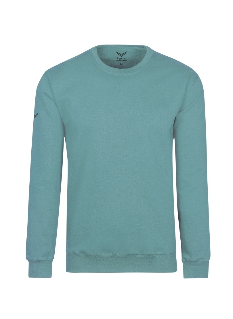 Trigema Sweatshirt »TRIGEMA Sweatshirt aus Biobaumwolle« online bestellen |  BAUR
