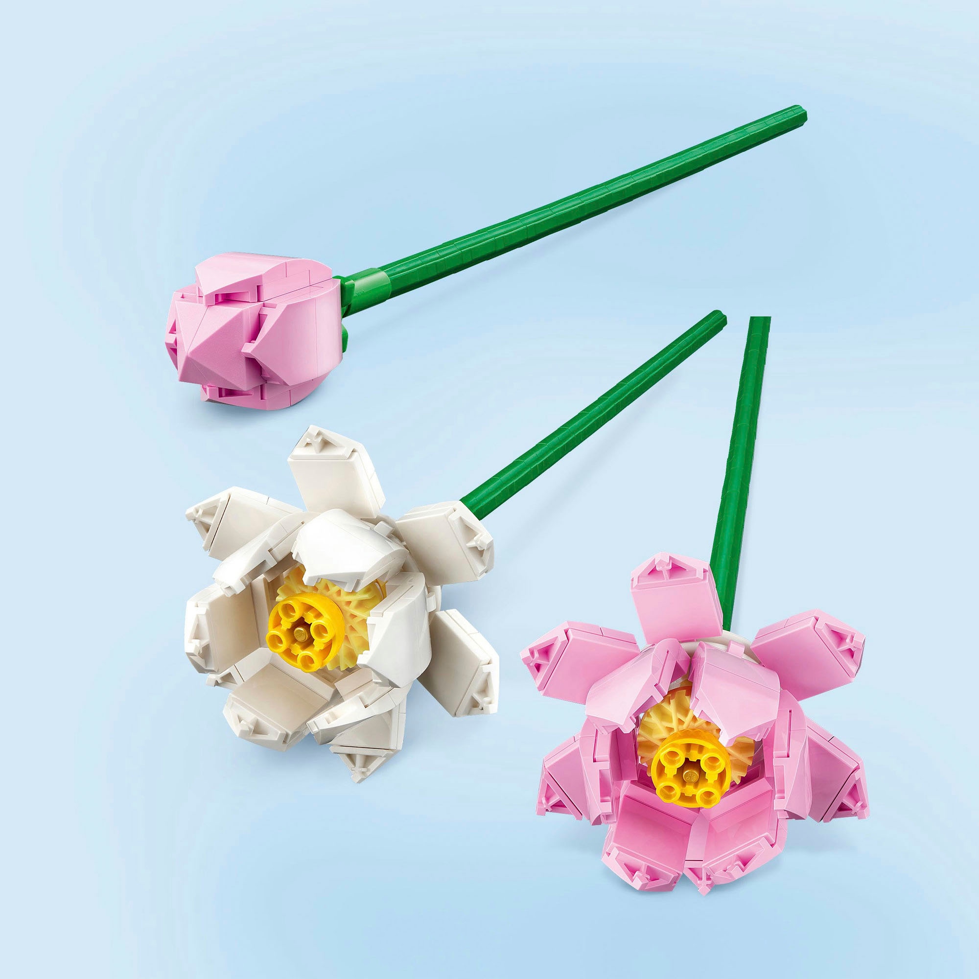 LEGO® Konstruktionsspielsteine »Lotusblumen (40647), LEGO Iconic«, (220 St.), Made in Europe