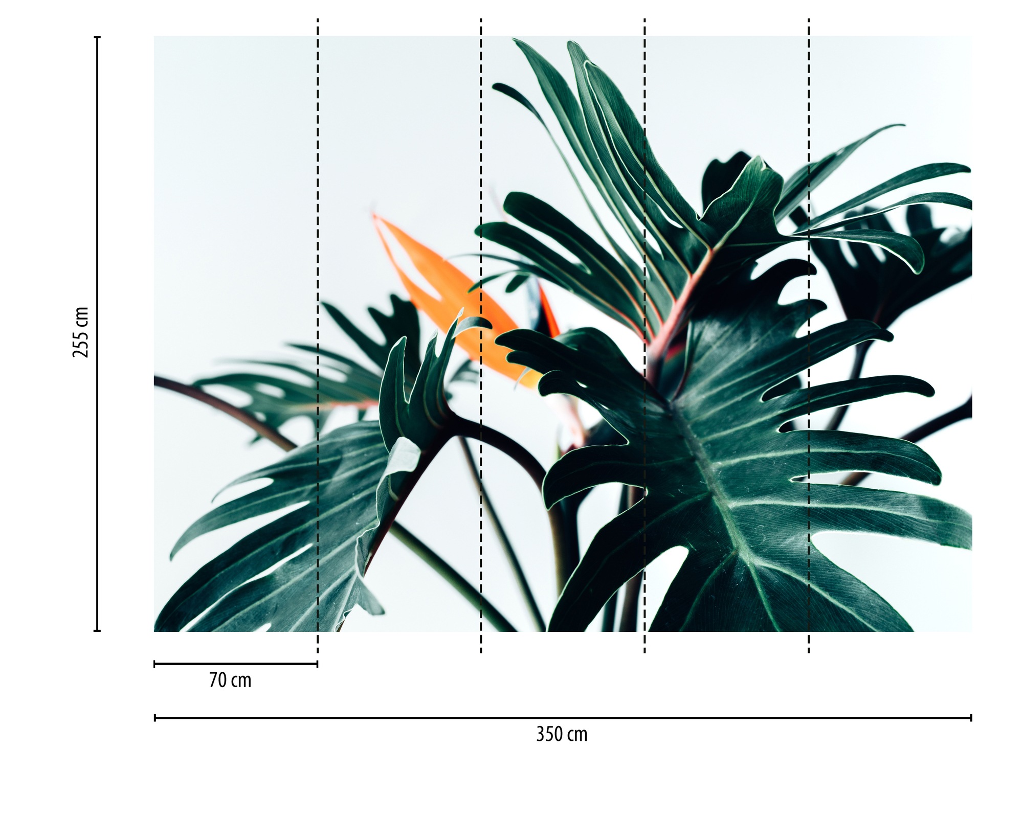 Thumbnail - A.S. Création Vliestapete "PflanzenFototapete Monstera Dunkelgrün Orange" matt strukturiert