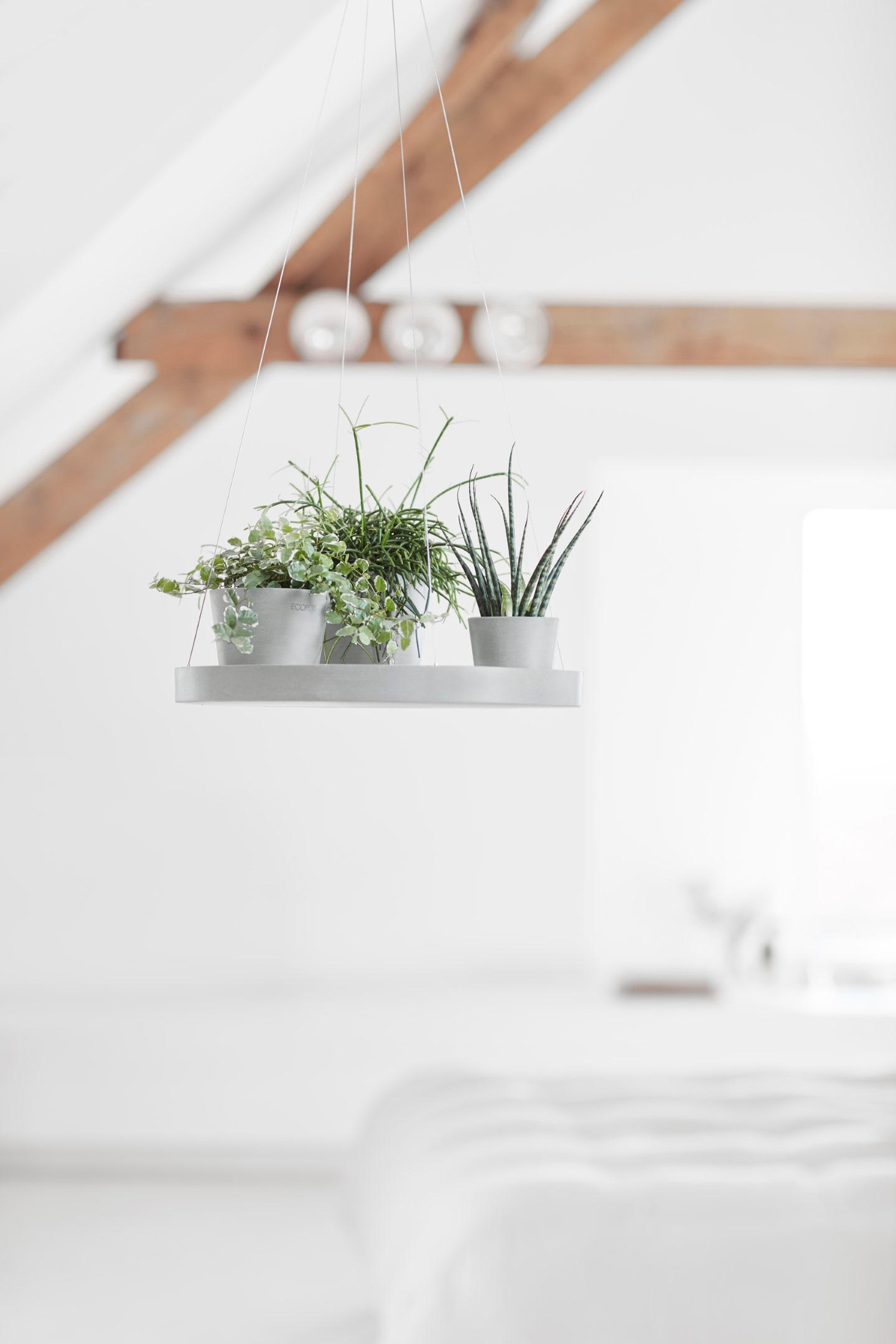 ECOPOTS Blumentopfuntersetzer »HANGING SAUCER White Grey«, BxTxH: 36x36x3 cm