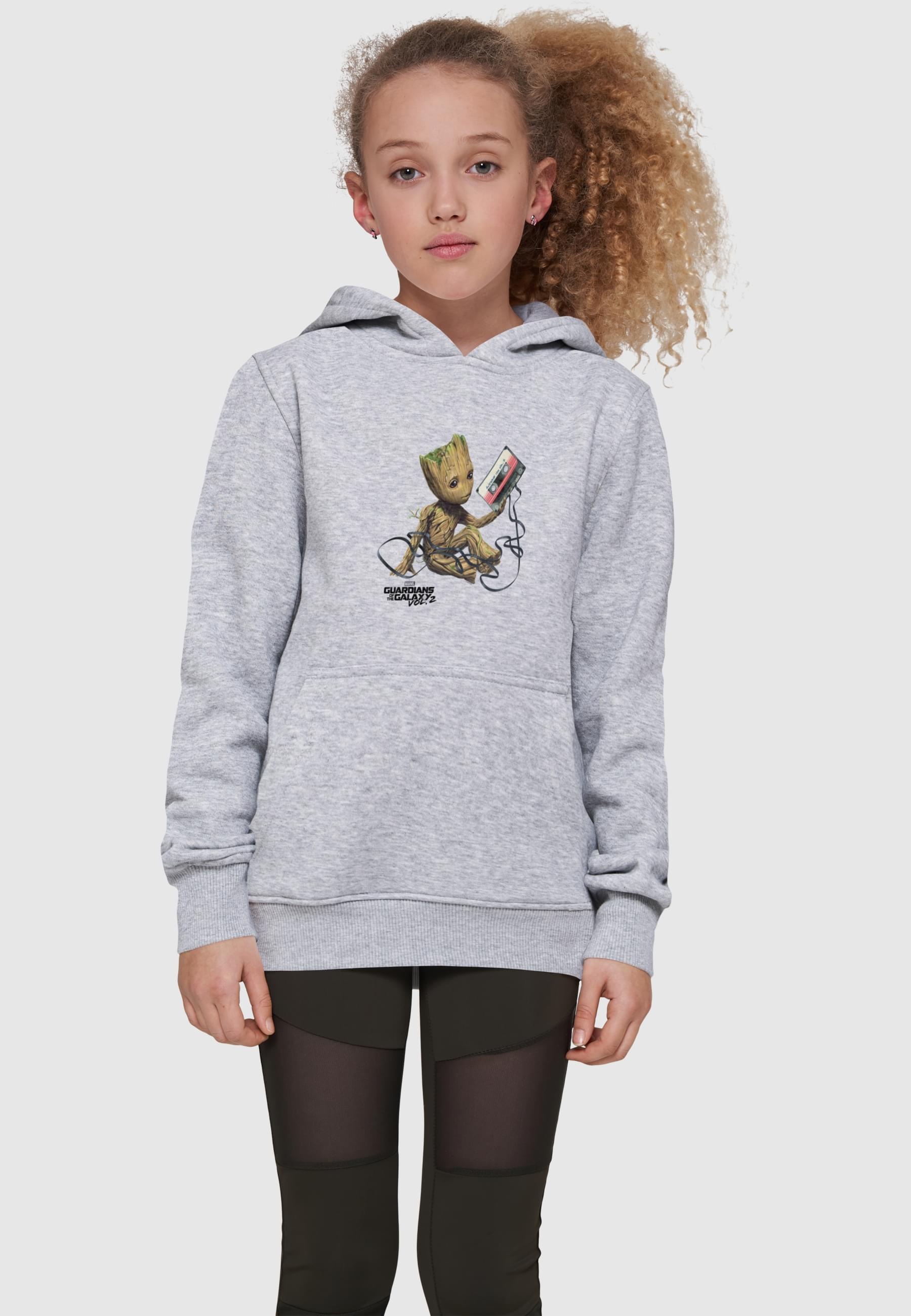 ABSOLUTE CULT Kapuzensweatshirt »ABSOLUTE CULT Herren«, (1 tlg.)