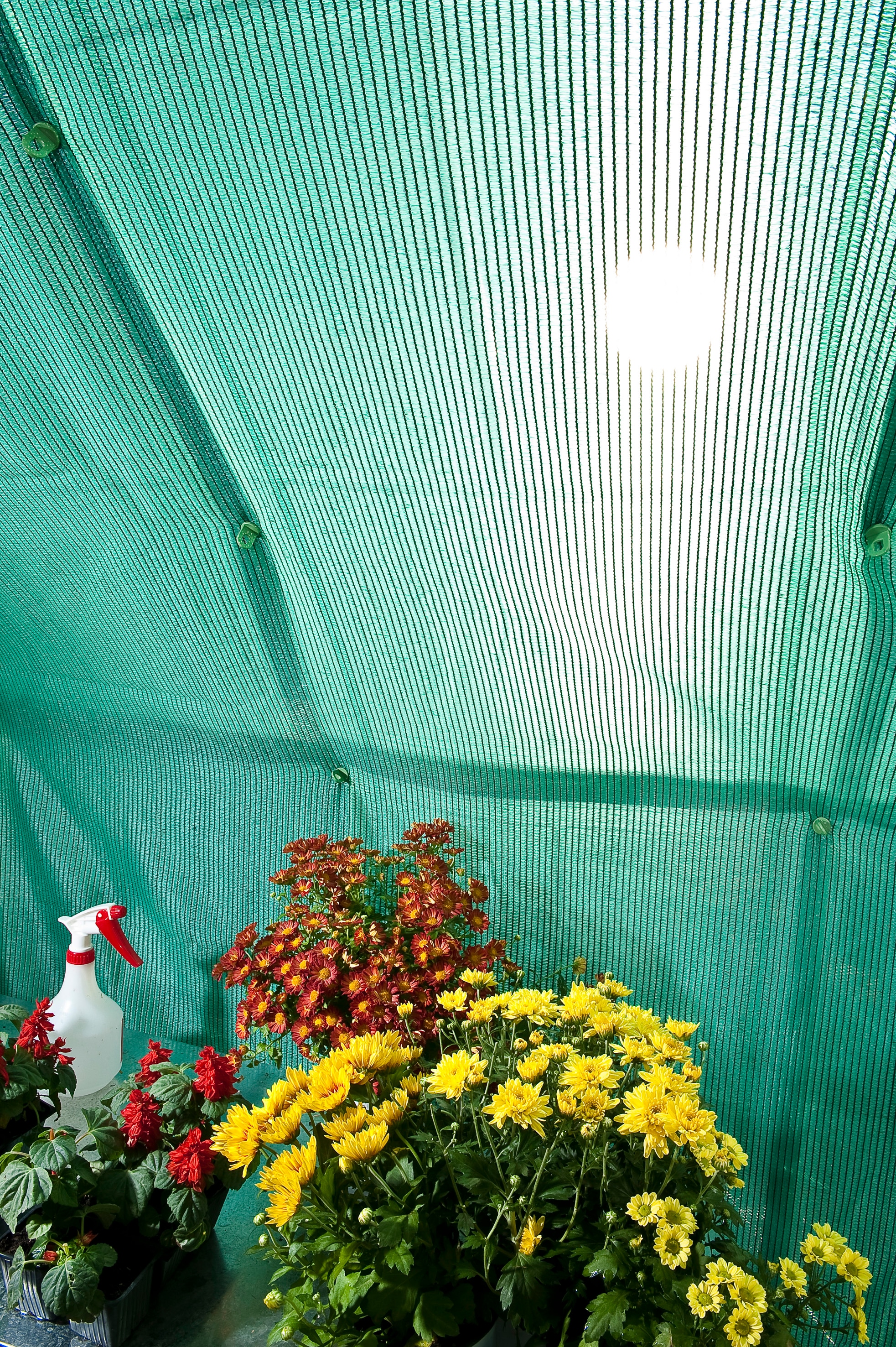 Palram - Canopia Sonnensegel »Schattierungs - Kit«, Schutz vor Sonne