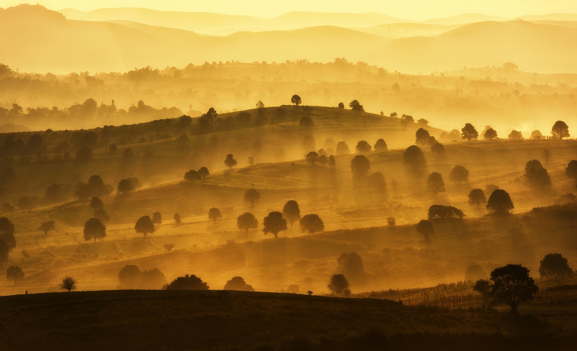 Papermoon Fototapete "BERGE-LANDSCHAFT DORF WIESE NEBEL GEBIRGE SONNE WALD" günstig online kaufen