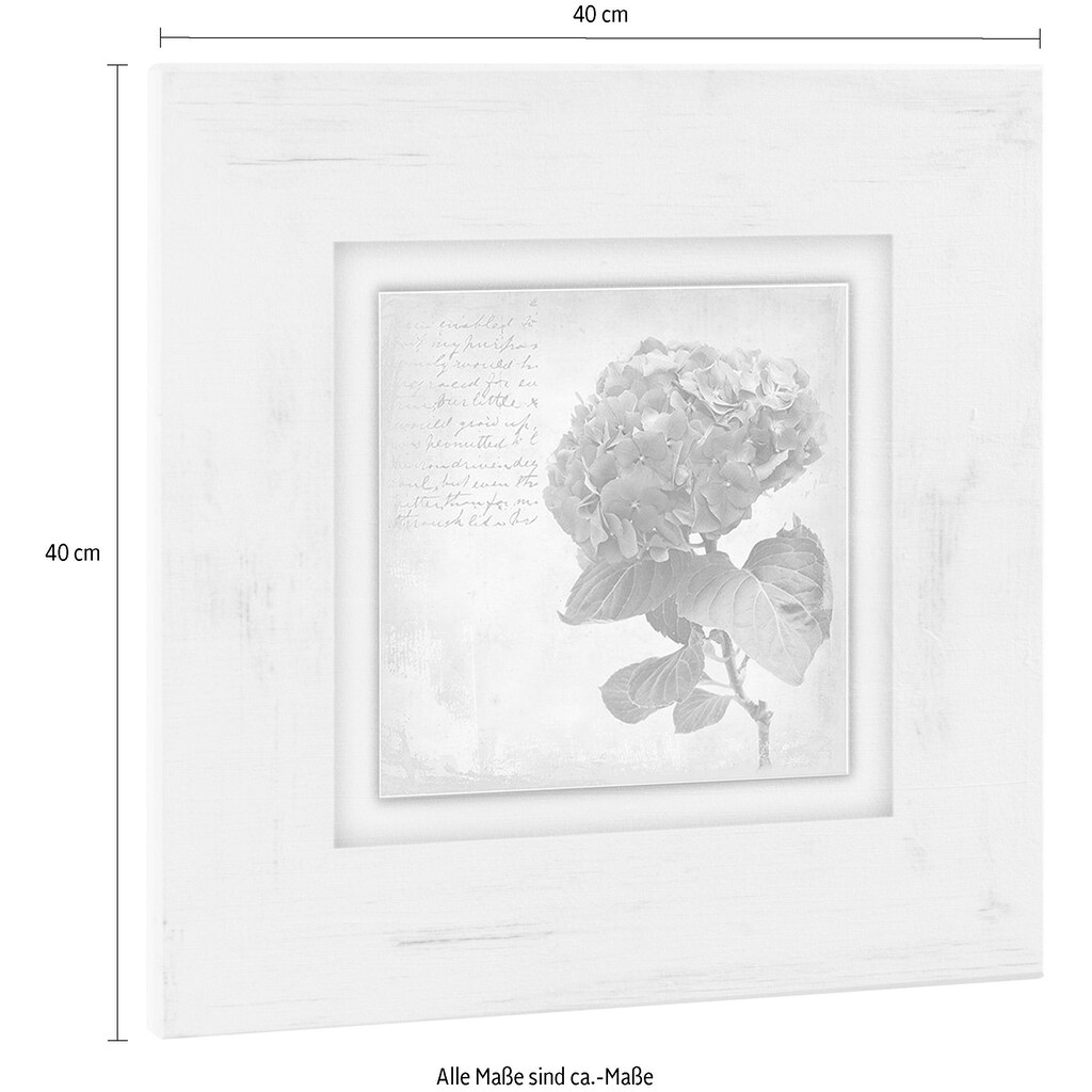 Home affaire Holzbild »Lila Blume«