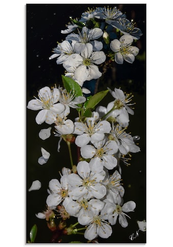 Glasbild »Baumblüte«, Blumen, (1 St.)