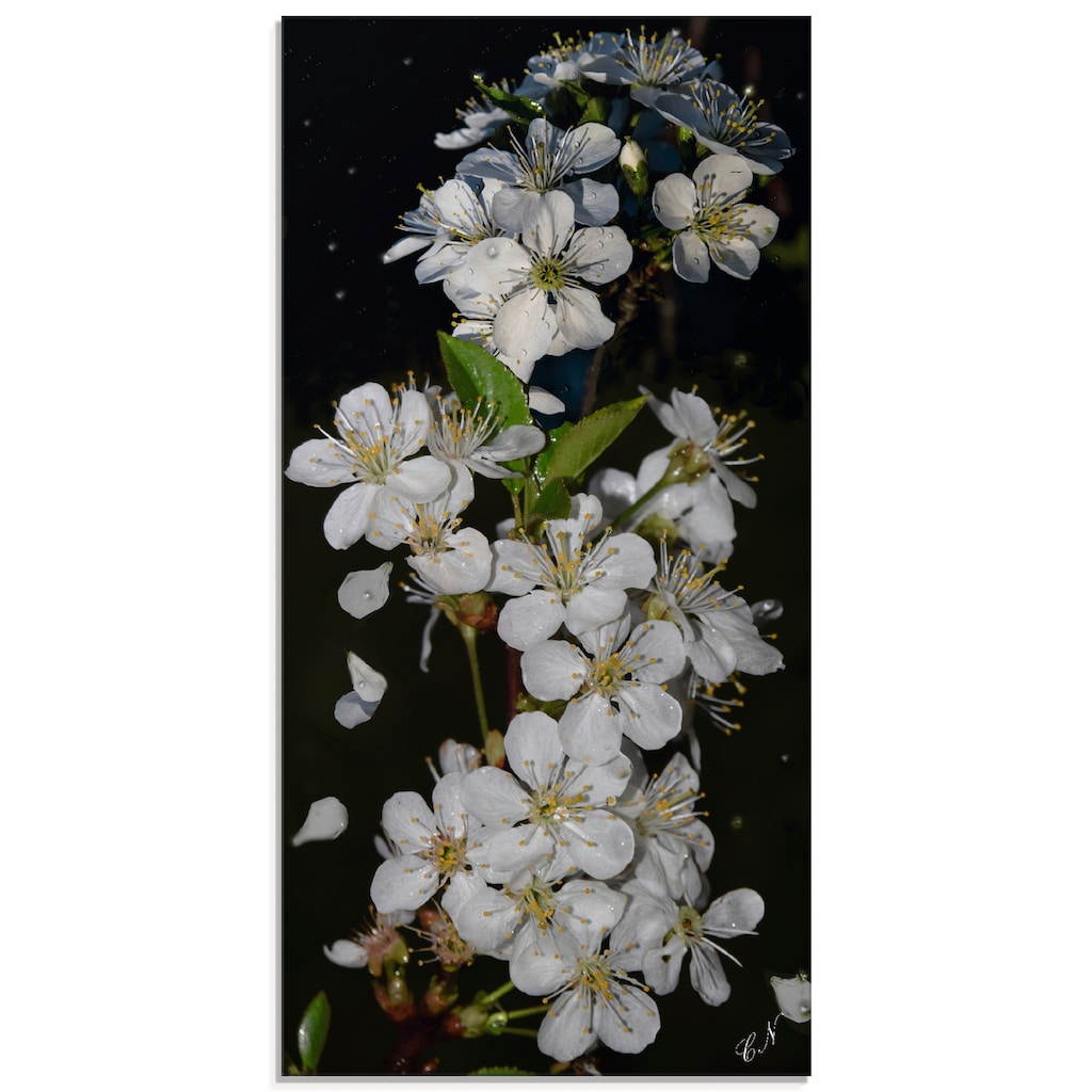 Artland Glasbild »Baumblüte«, Blumen, (1 St.)