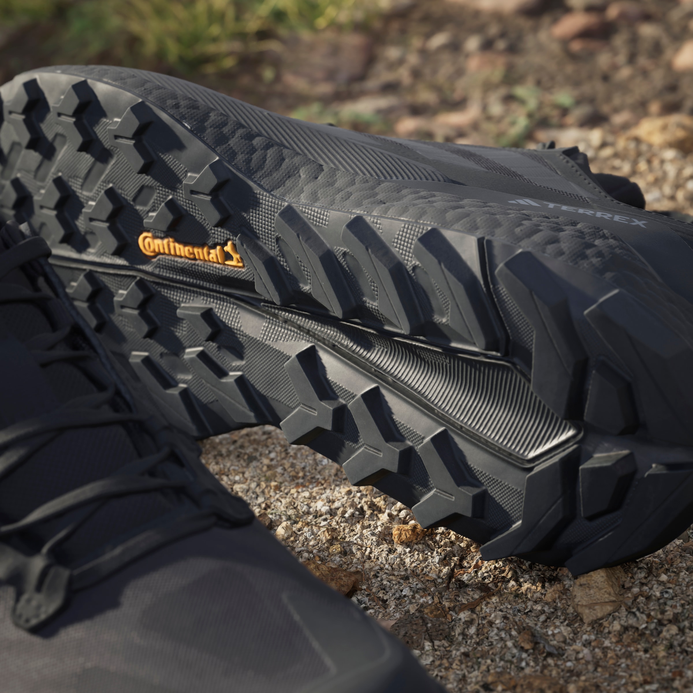 adidas TERREX Wanderschuh »FREE HIKER 2.0 LOW«