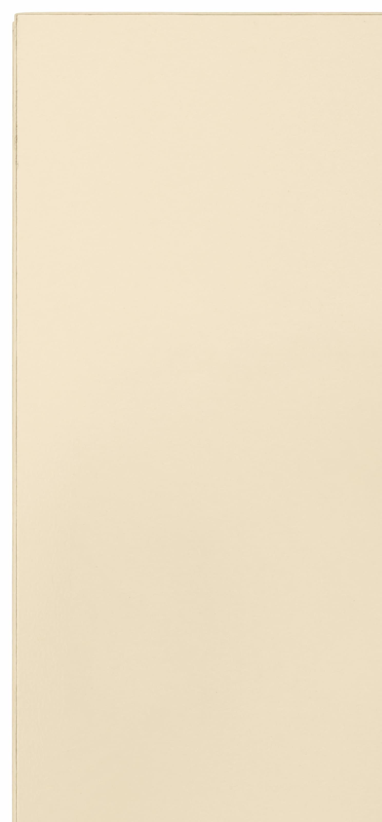 wiho Küchen Hängeschrank »Flexi« Breite 100 cm