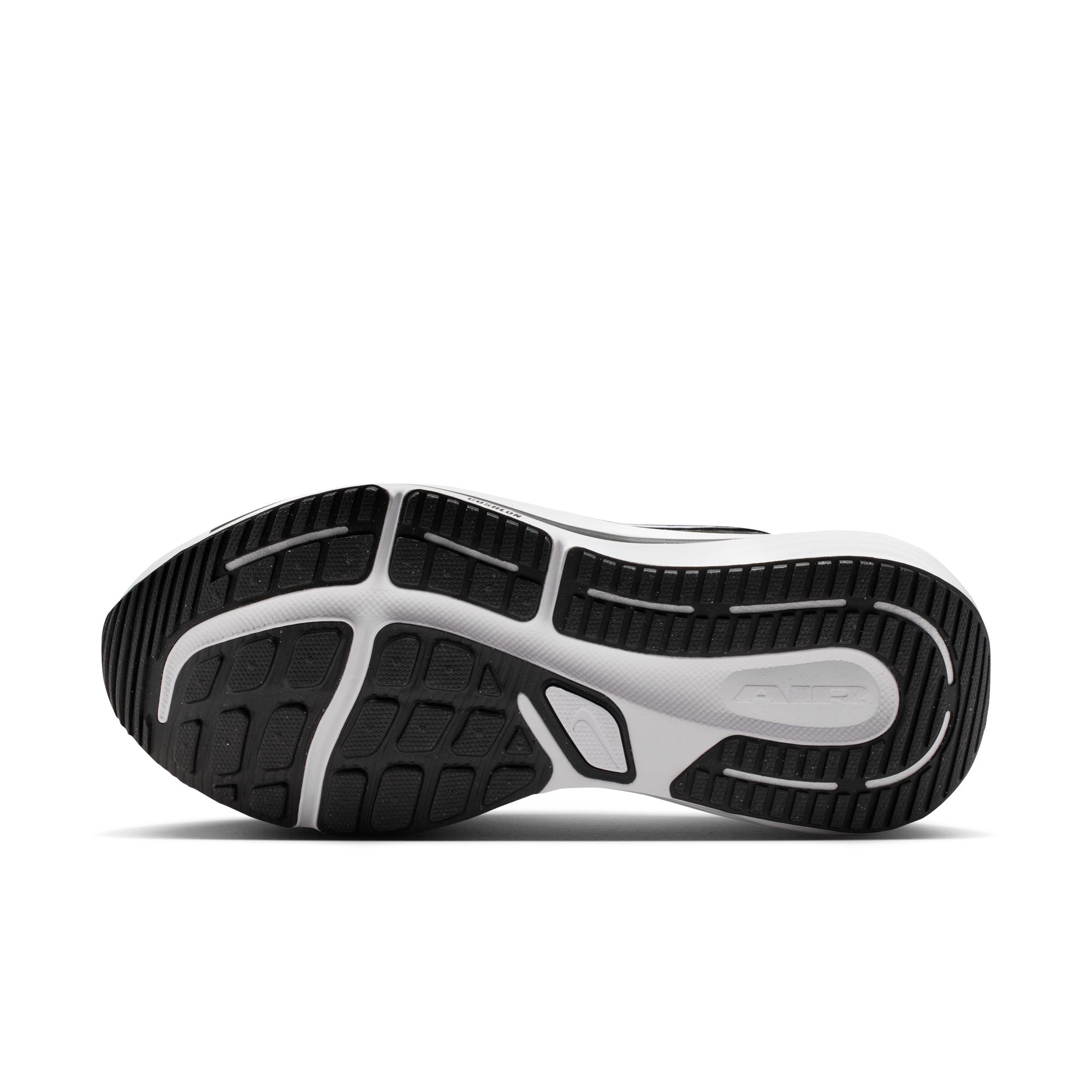 Nike Laufschuh »Winflo 12«