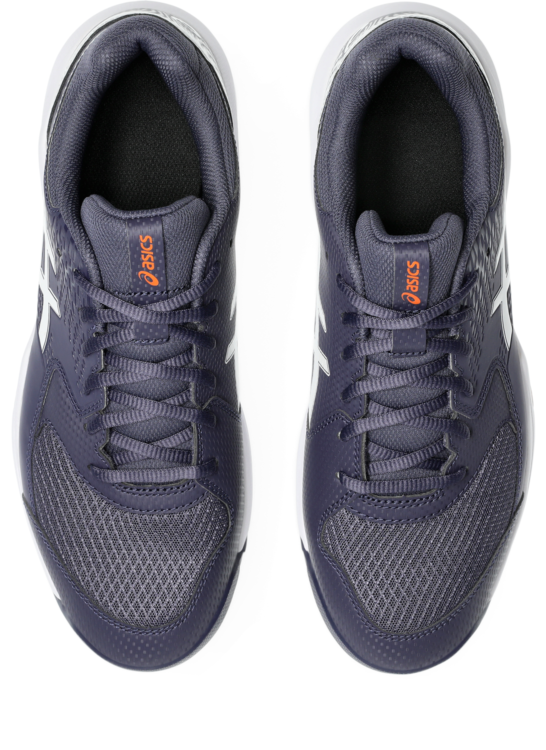Asics Tennisschuh "GEL-DEDICATE 8", Multi Court günstig online kaufen