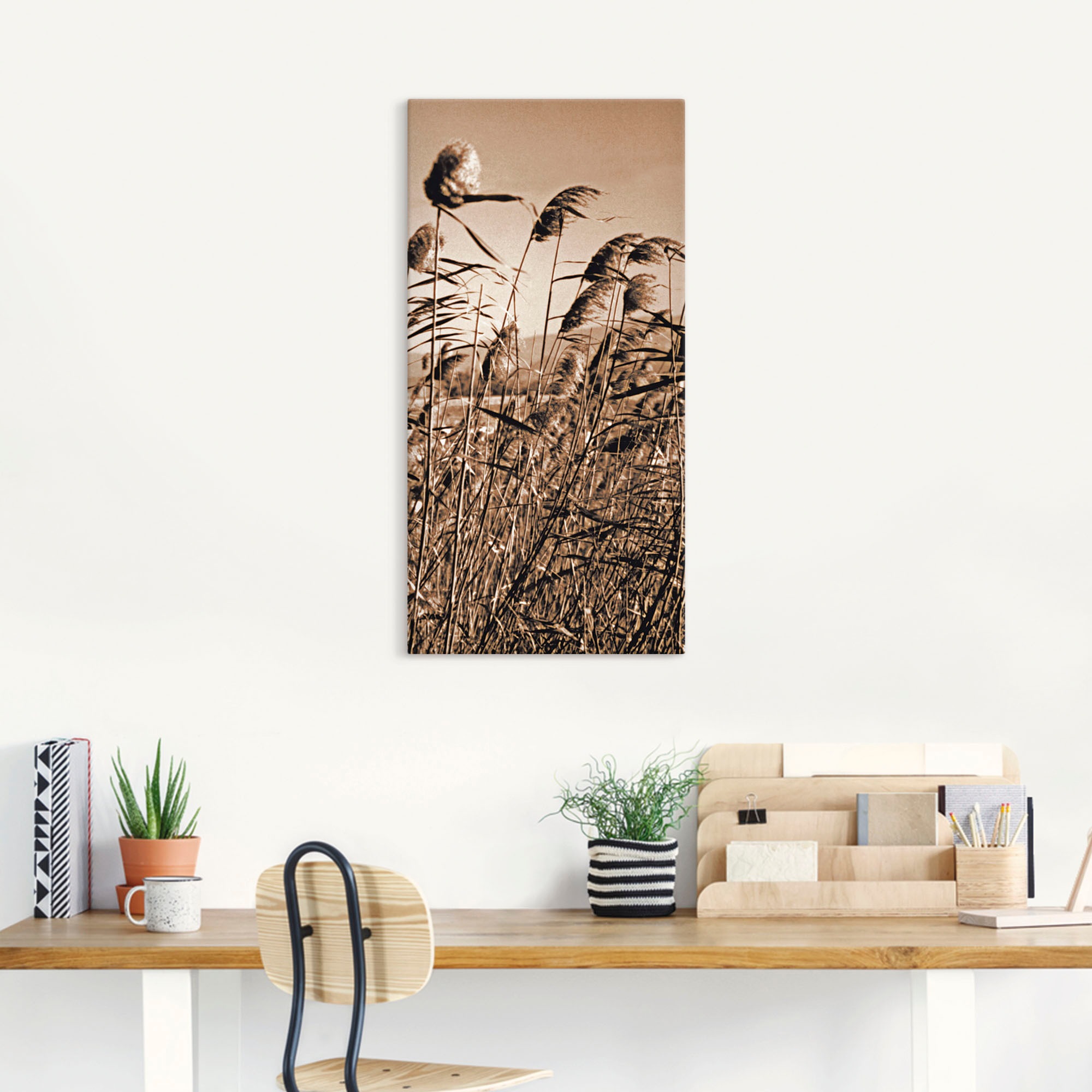 Artland Leinwandbild "Sepia Gräser II" Gräser 1 Stk. tlg. auf Holzrahmen ge günstig online kaufen