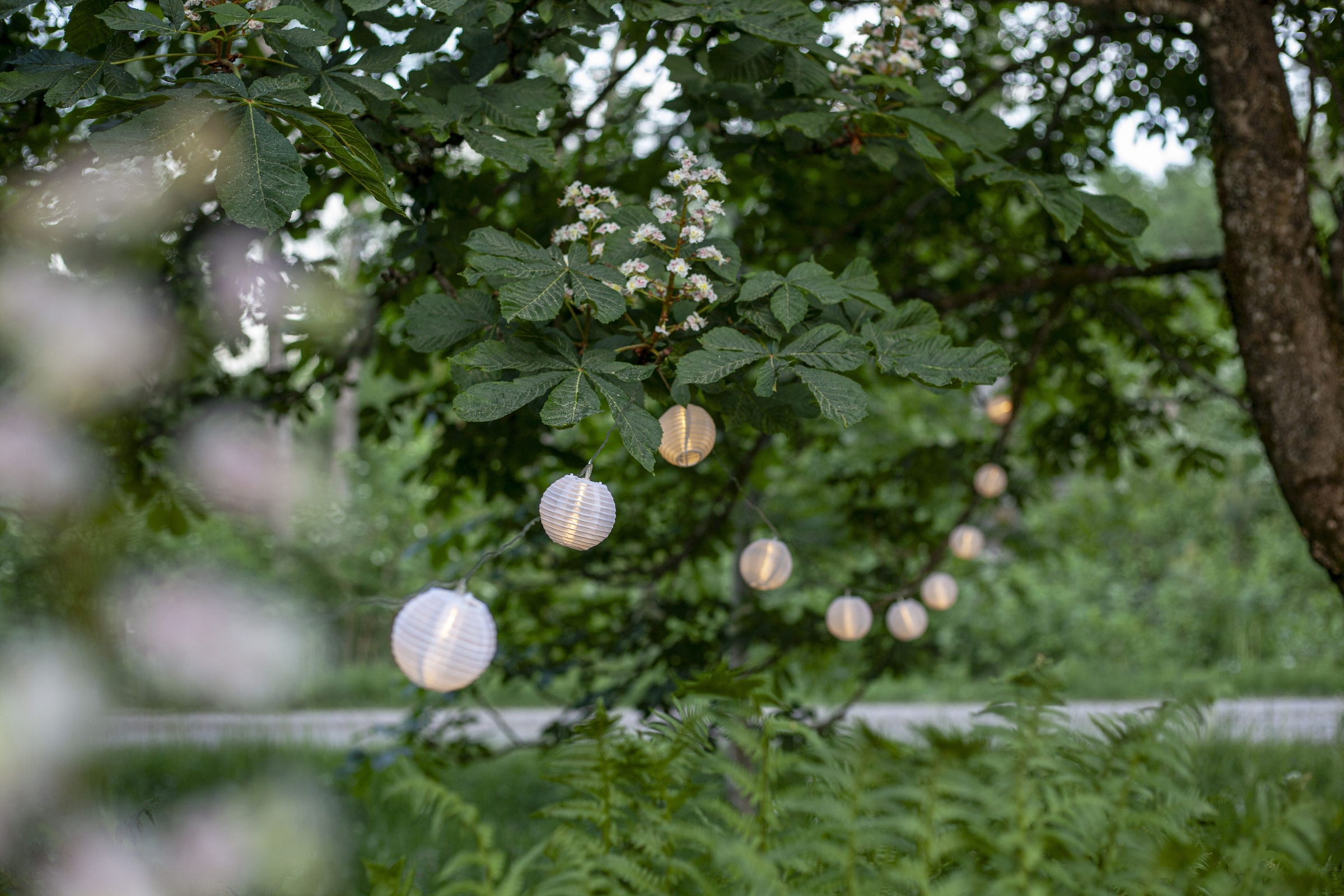 Parforce Traditional Hunting LED-Lichterkette »Festival« 10 Stk.-flammig ca. 4,5 m, outdoor, mit Trafo, 
Sichtkarton