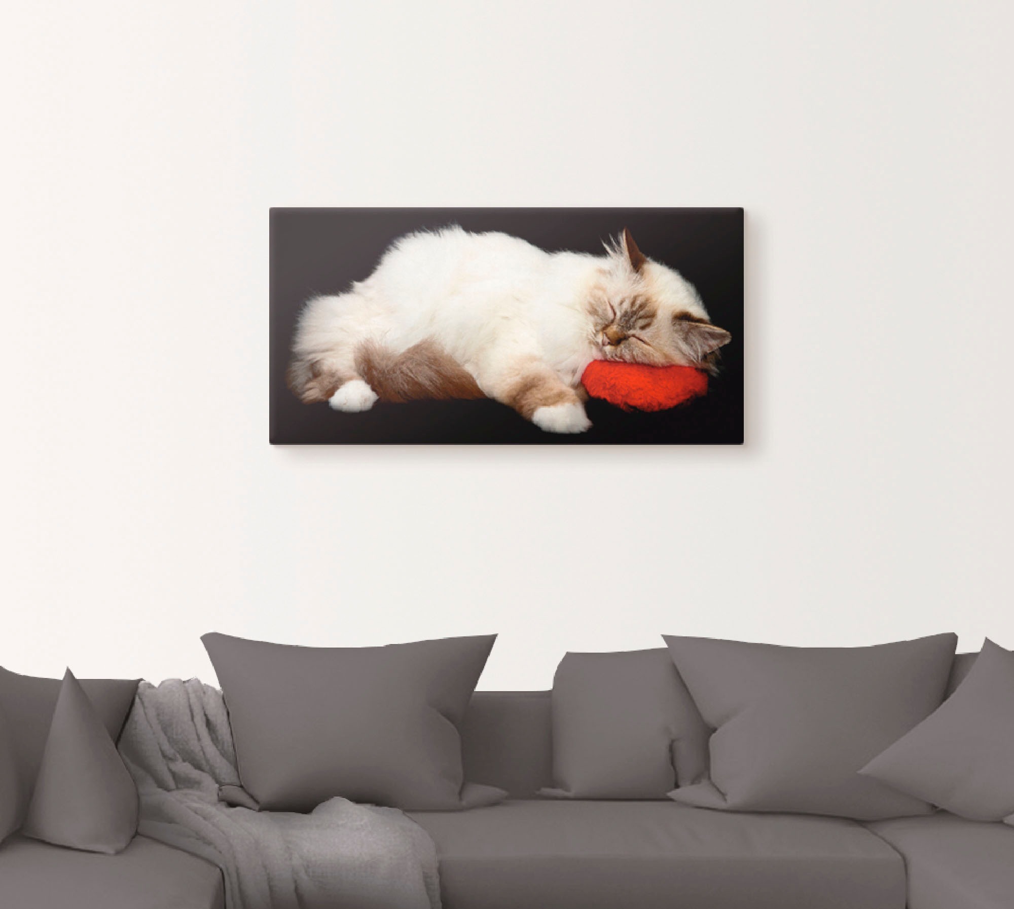 Artland Wandbild »Müde Katze«, Haustiere, (1 St.), als Leinwandbild, Poster, Wandaufkleber in verschied. Größen
