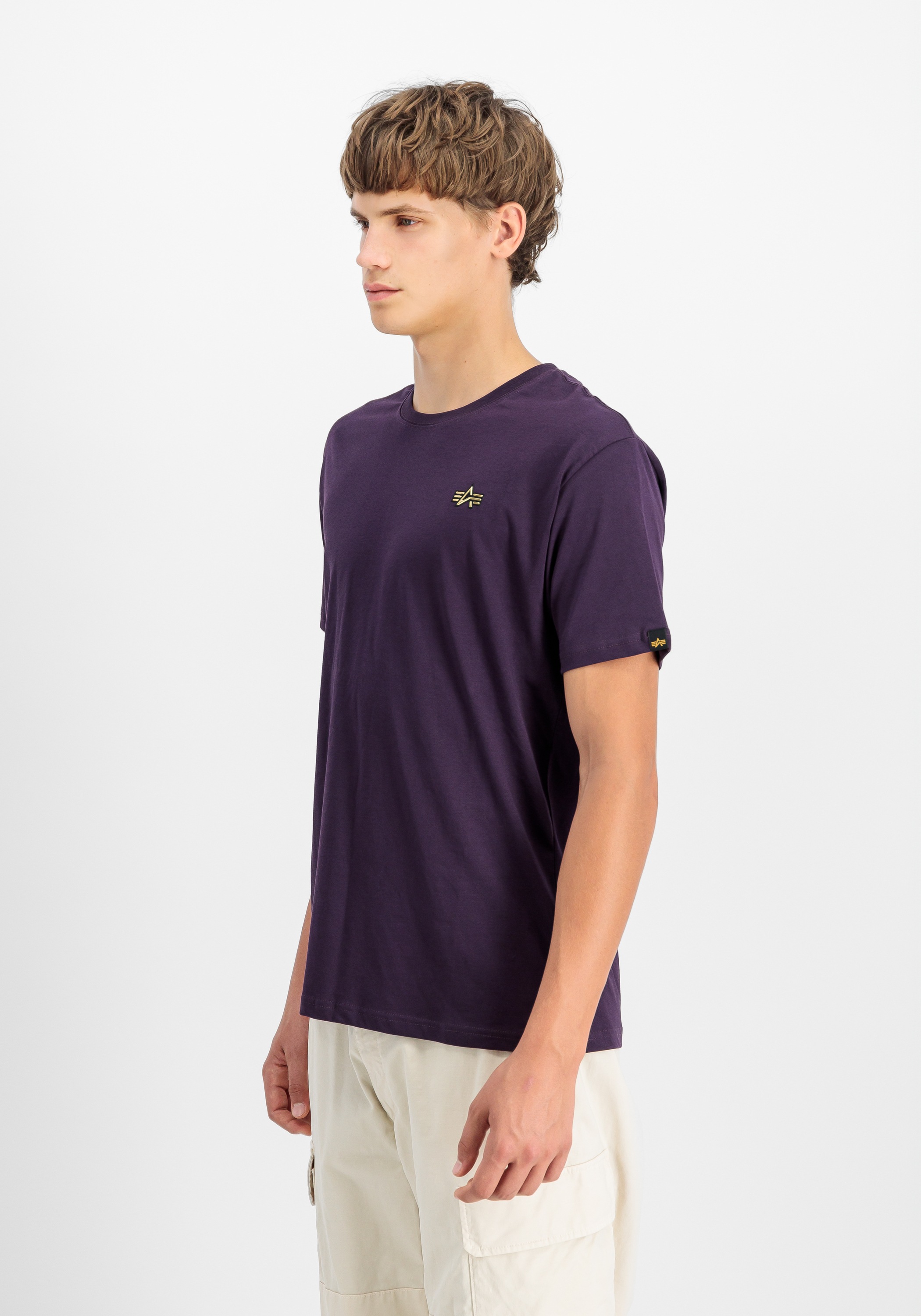 Alpha Industries T-Shirt »Alpha Industries Men - T-Shirts 3D Small Logo T-Shirt«