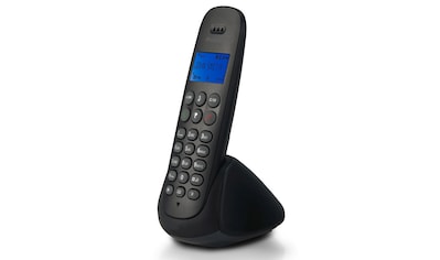 Schnurloses DECT-Telefon »PDX-300 - DECT-Telefon mit 1 Mobilteil«