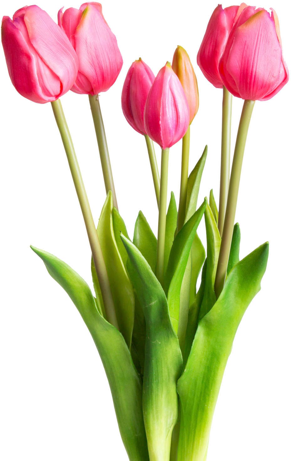 OTTO home Kunstpflanze "Maiva" Tulpenbündel im 7er-Set