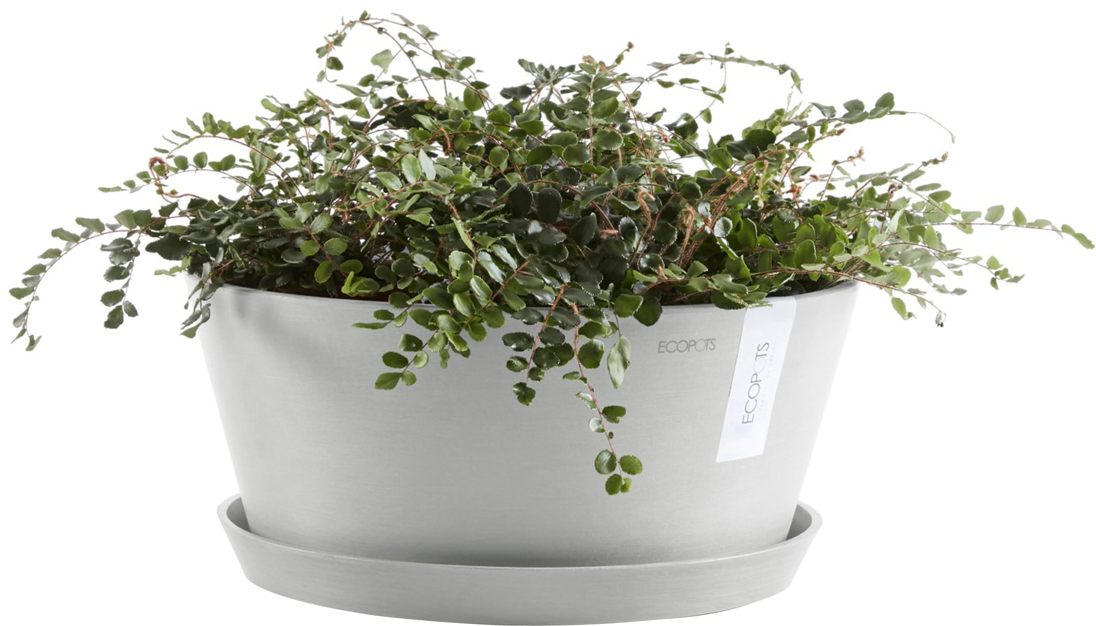 ECOPOTS Blumentopf »Frankfurt 40 Weißgrau«, für innen und außen: frostsicher, bruchsicher und lichtbeständig