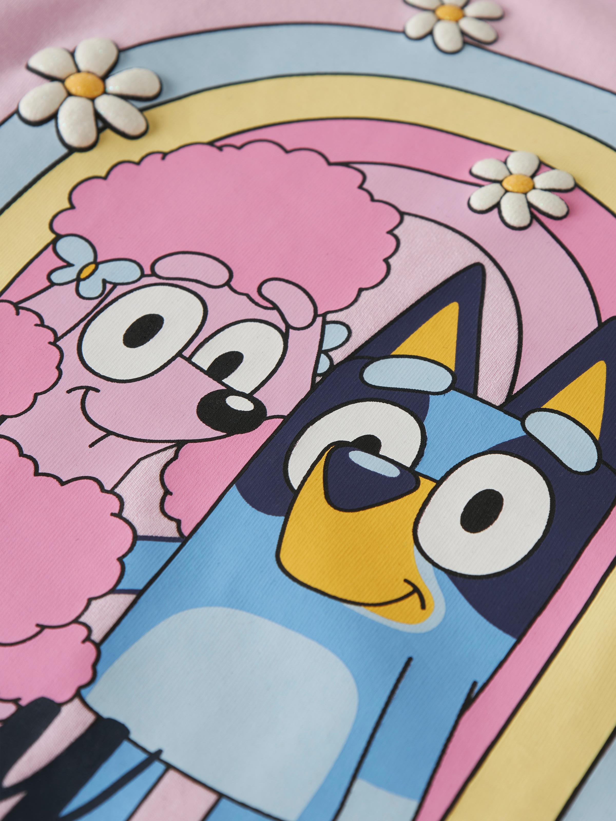 Name It Langarmshirt »NMFJESSIE BLUEY LS TOP BOX NOOS SKY«