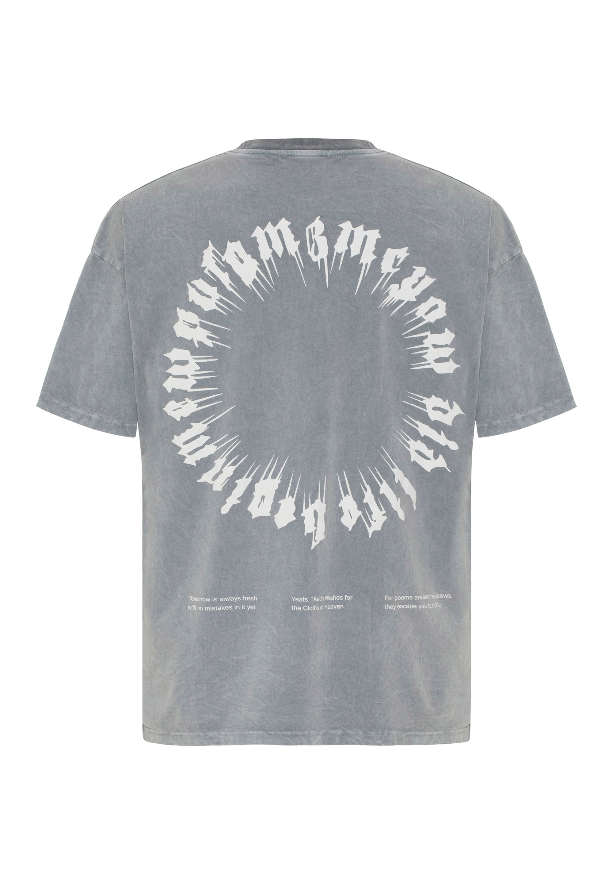 RedBridge T-Shirt »Runcorn«, mit großflächigem Print auf dem Rücken