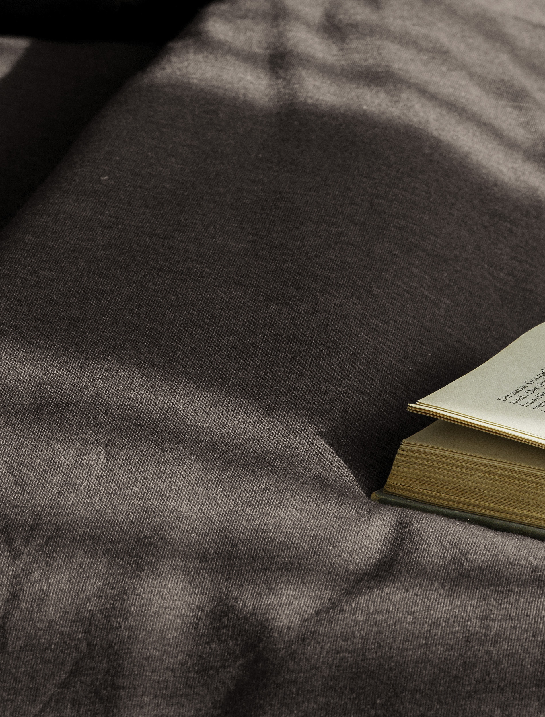 BIERBAUM Bettwäsche »4135« 2 Stk. Jersey-Melange, bügelfrei, designed in Germany