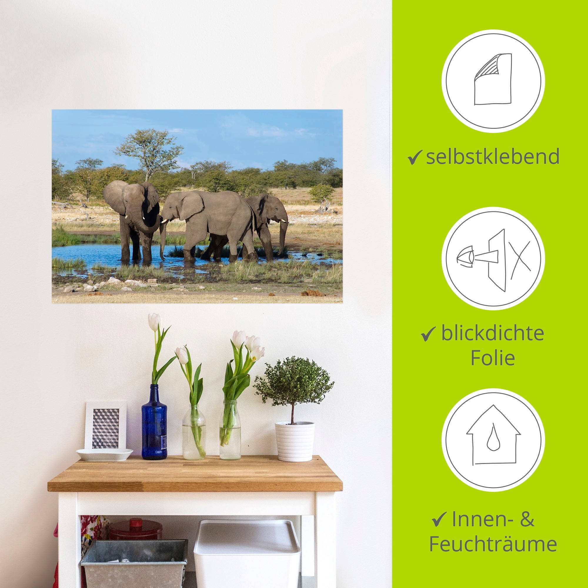 Artland Wandbild »Afrikanischer Elefant EtoshaNationalpark«, Elefanten Bilder, (1 St.), als Leinwandbild, Wandaufkleber in verschied. Größen