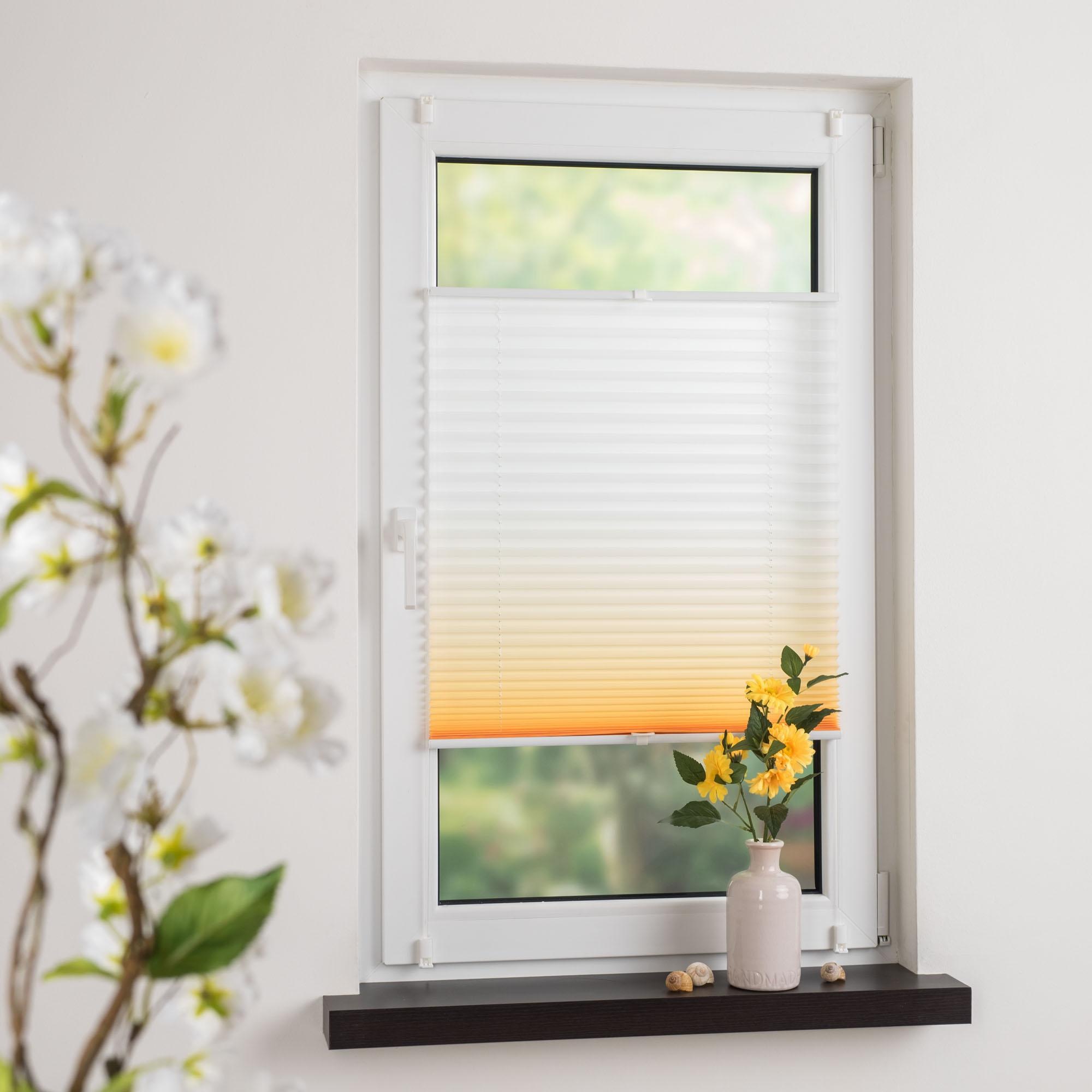 Liedeco Plissee "Farbverlauf" Lichtschutz ohne Bohren verspannt günstig online kaufen