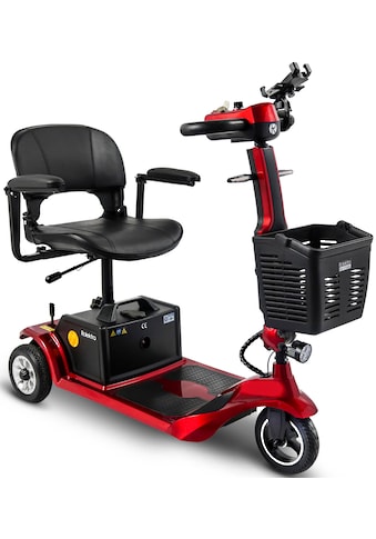 Rolektro Elektromobil »E-Trike 6« 300 W 6 km/h