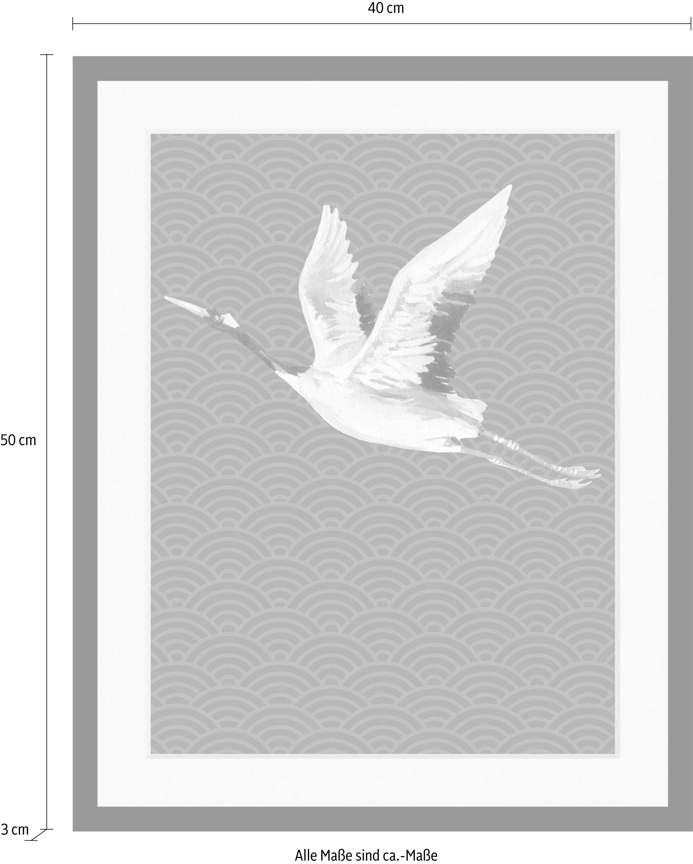 queence Bild »Kranich«, Vögel-Vogelbilder-Tiere, HD Premium Poster-Druck inkl. Holzrahmen