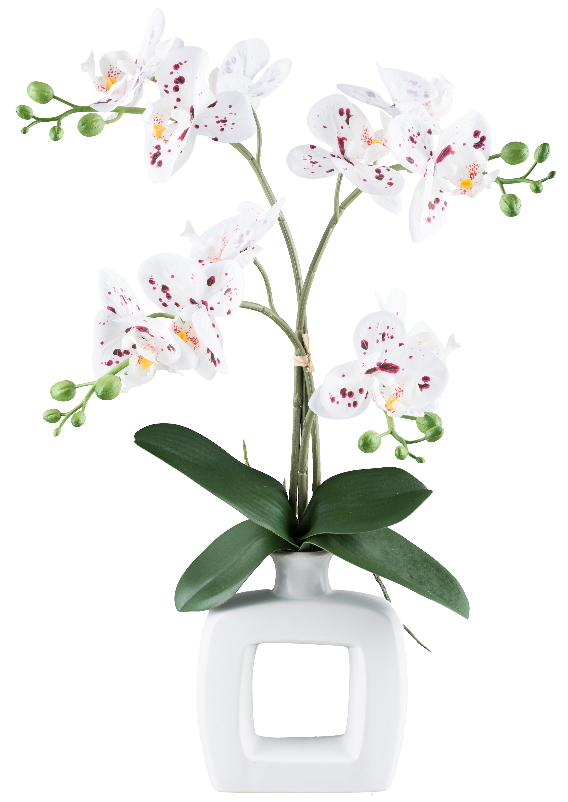 Kunstorchidee »Orchidee Phalaenopsis«, mit real-touch-Blüten