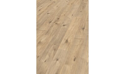 Brauner laminat - Die TOP Produkte unter der Menge an analysierten Brauner laminat!
