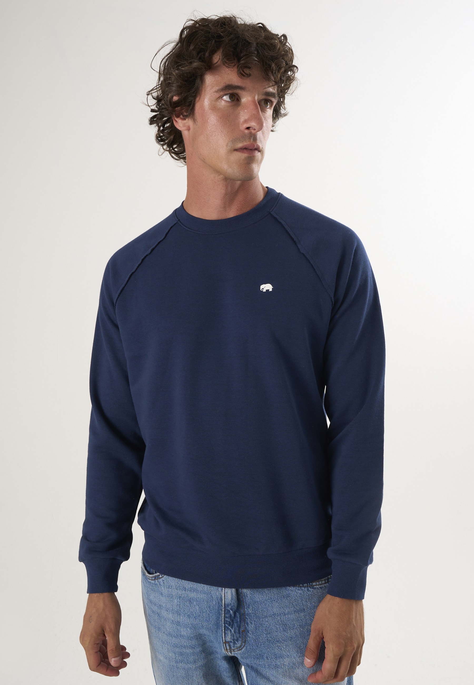Felix Hardy Sweater "Basic Rundhals Sweatshirt"