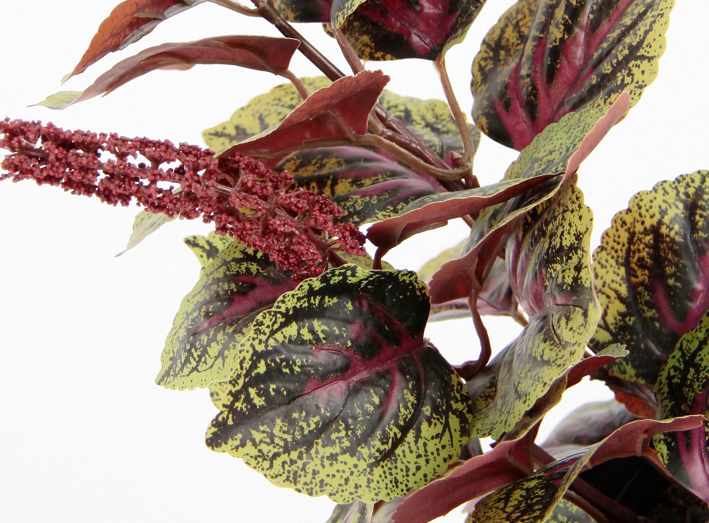 I.GE.A. Kunstpflanze »Zwergpfeffer«, Mit bestellen Herbstdeko Kunstpflanze | Kunstpflanze Peperomie BAUR Übertopf