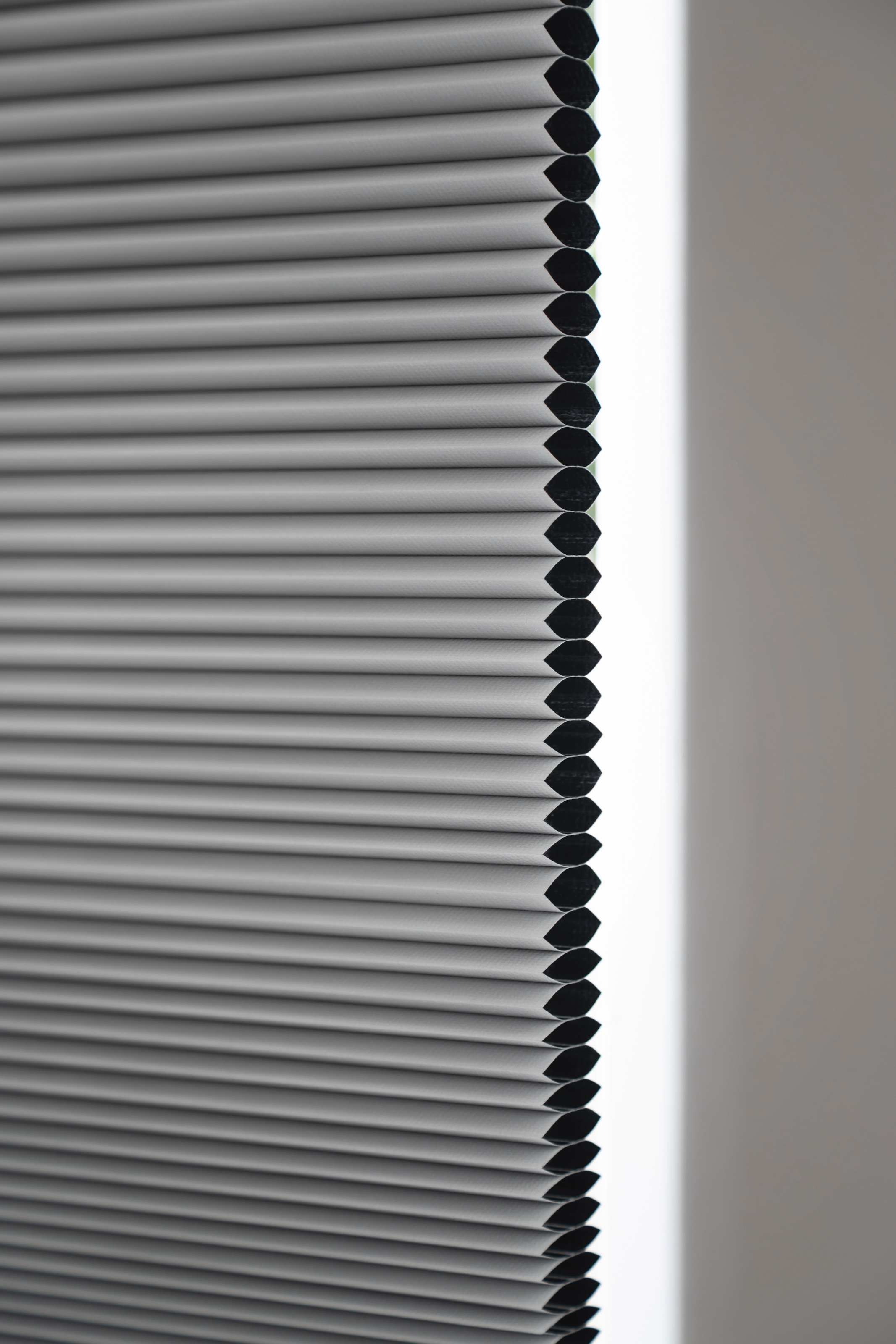 SCHÖNER WOHNEN-Kollektion Wabenplissee »Thermo Sina«, verdunkelnd, mit Bohren, verspannt, verschraubt, energiesparend, Thermo Rückseite, schallabsorbierend