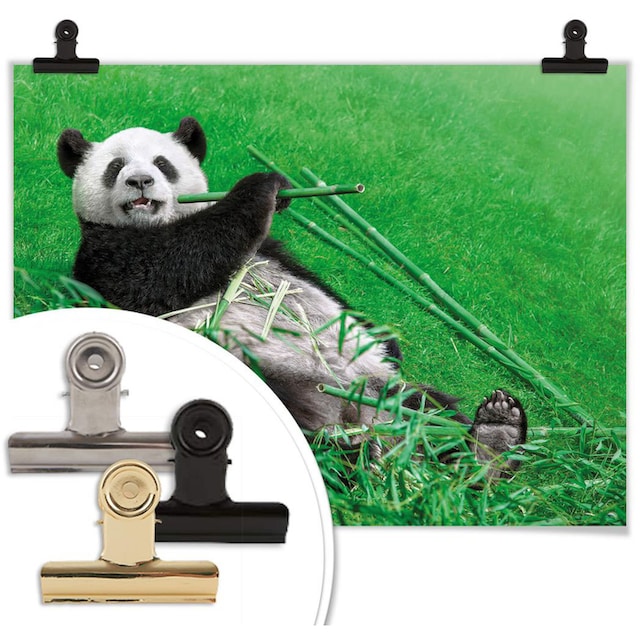 Wall-Art Poster »Waldtiere Bambus Panda«, Tiere, (1 St.), Poster, Wandbild,  Bild, Wandposter bestellen | BAUR