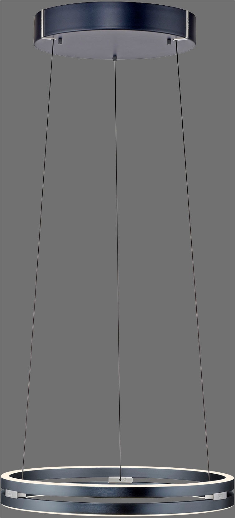 Neuhaus PURE LED Pendelleuchte »PURE E-Loop« LED-Board 1 Stk. warmweiß - kaltweiß e-LIFT® Funktion, CCT, dimmbar über Fernbedienung