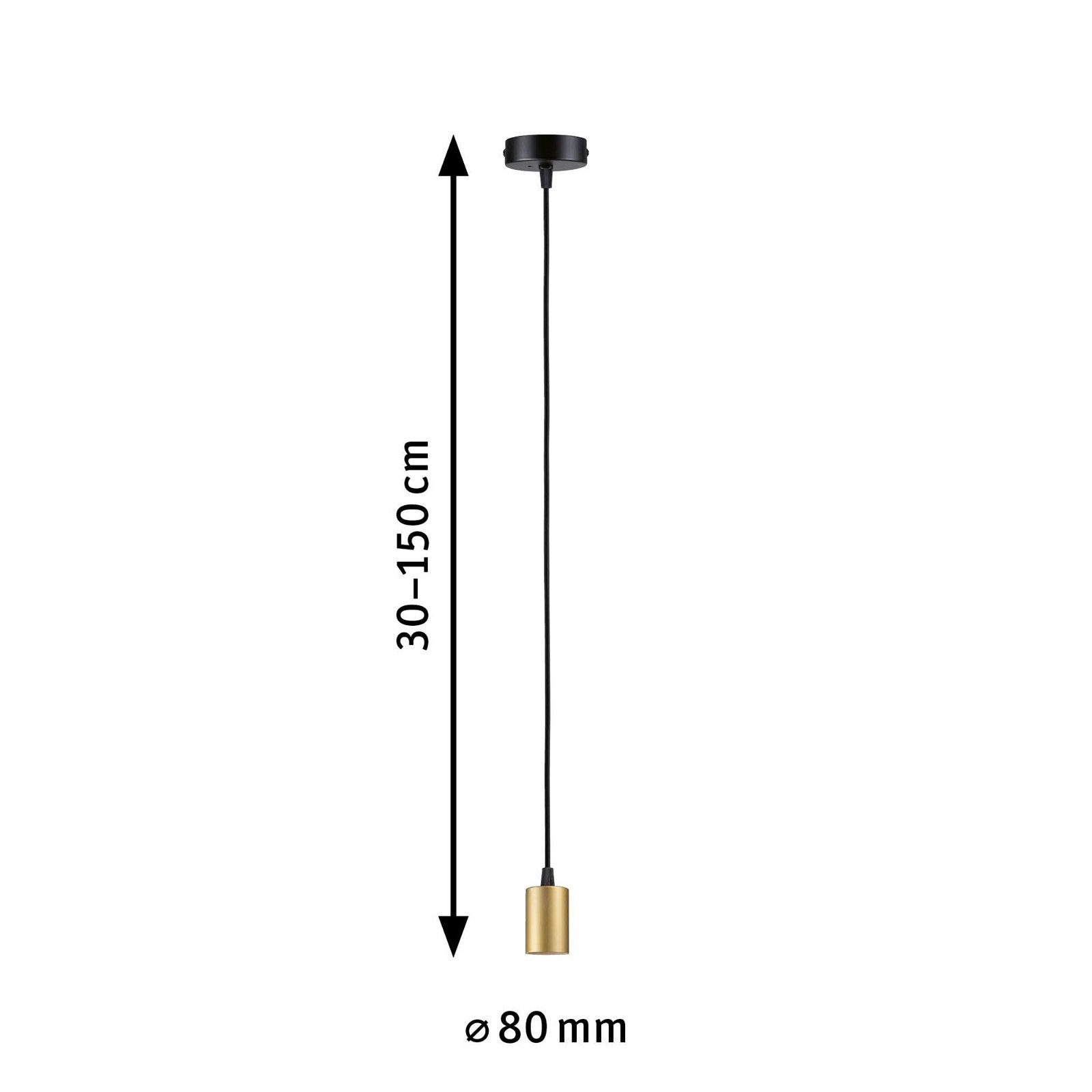 Paulmann | 230V 1x60W IP44 Schwarz Pendelleuchte Gold »Ravi max Metall«, E27 BAUR