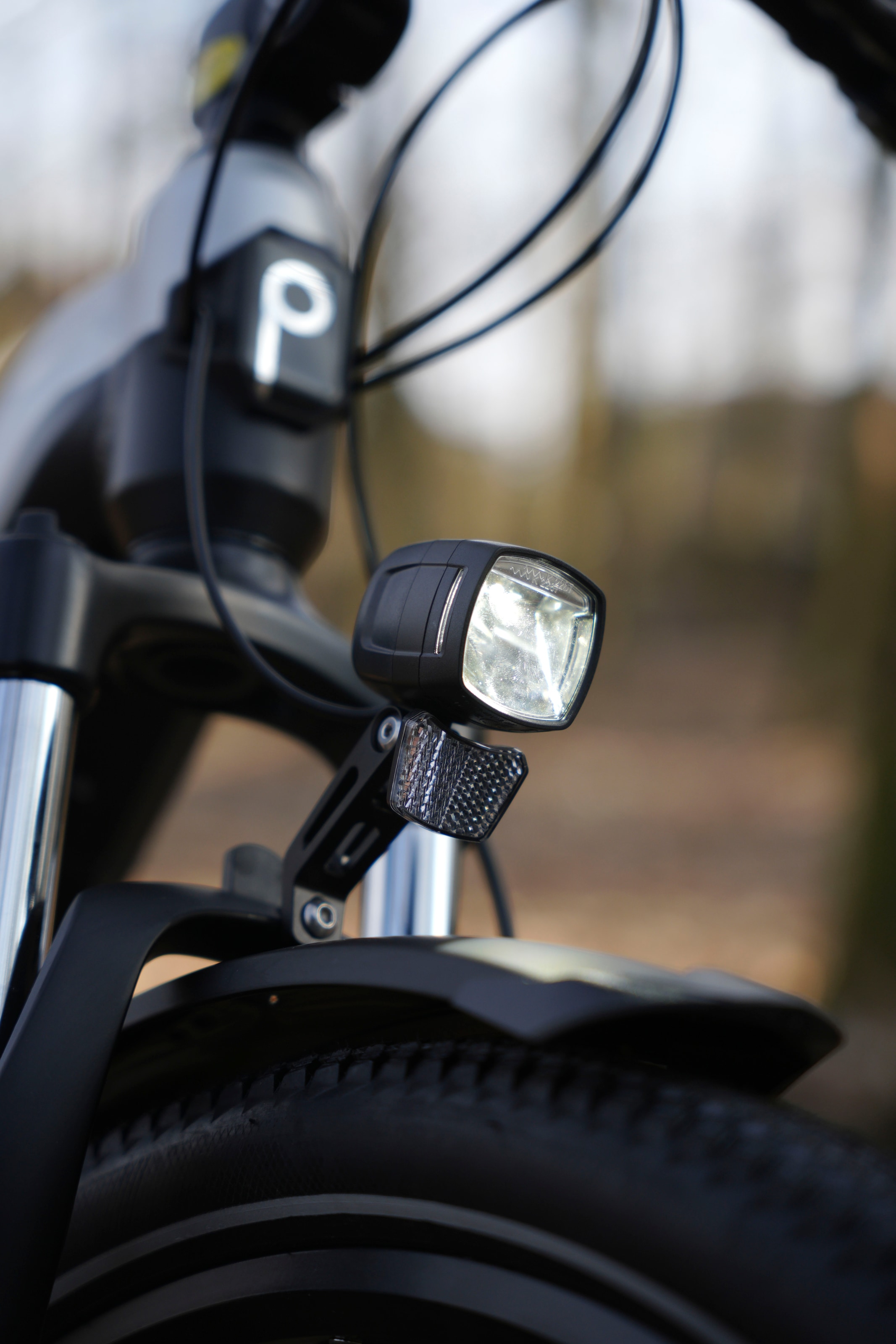 Prophete »Stack 1.8« 8 Gang Shimano Altus Schaltwerk Kettenschaltung Heckmotor 250 W