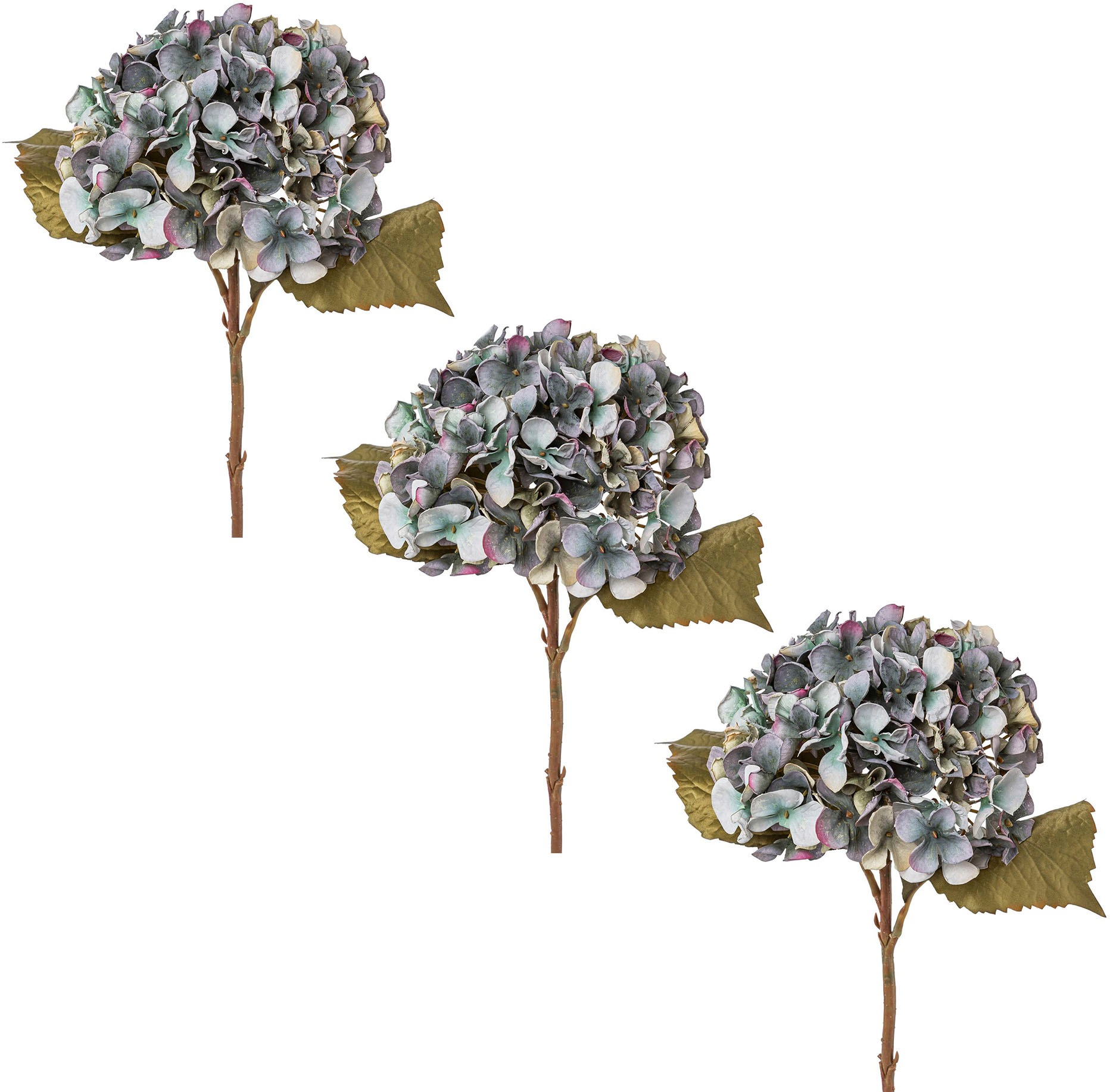 Creativ green Kunstblume »Hortensie«, (3 St.) kaufen