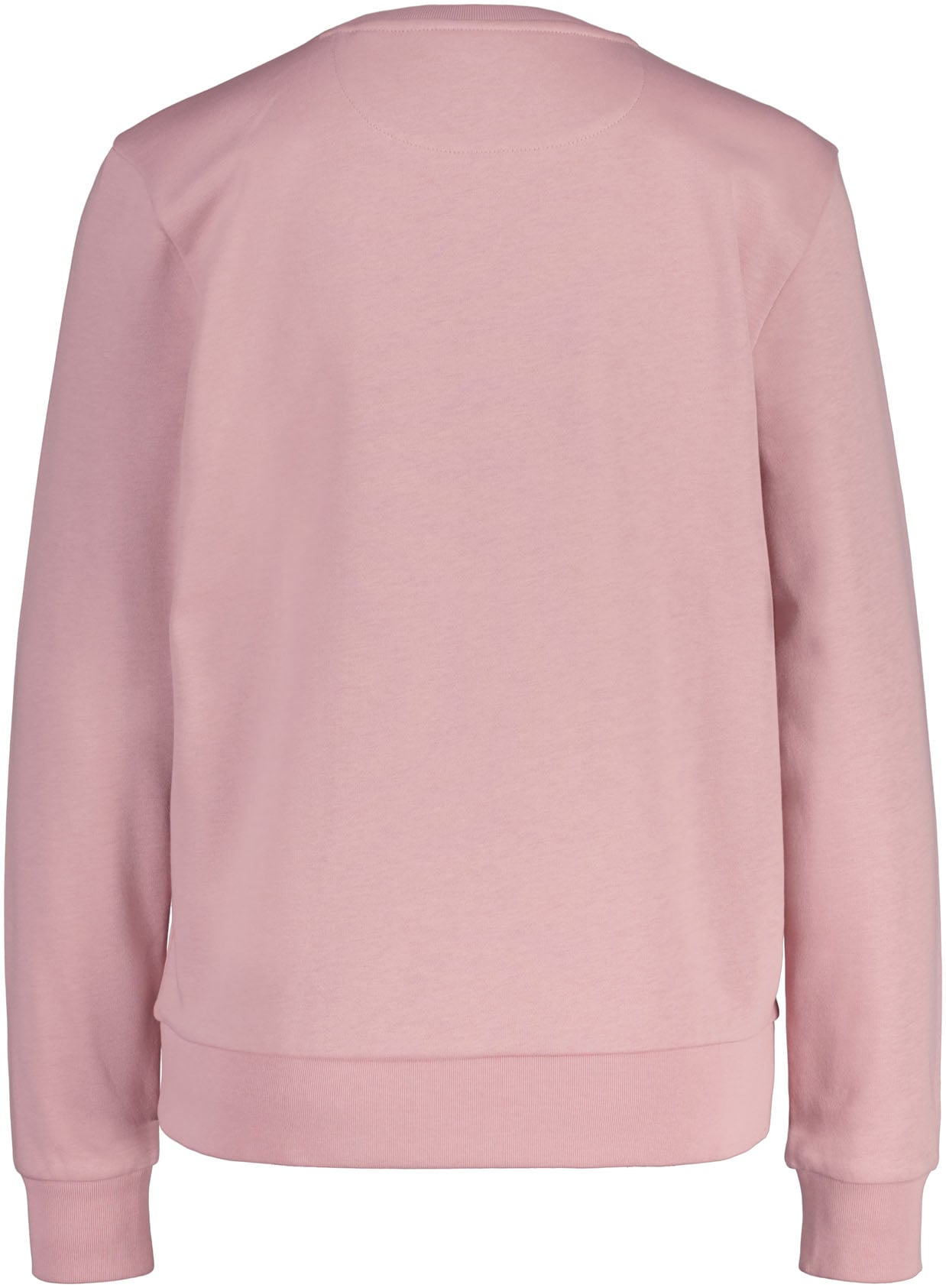 Gant Sweatshirt "REG PRINTED GRAPHIC C-NECK" günstig online kaufen