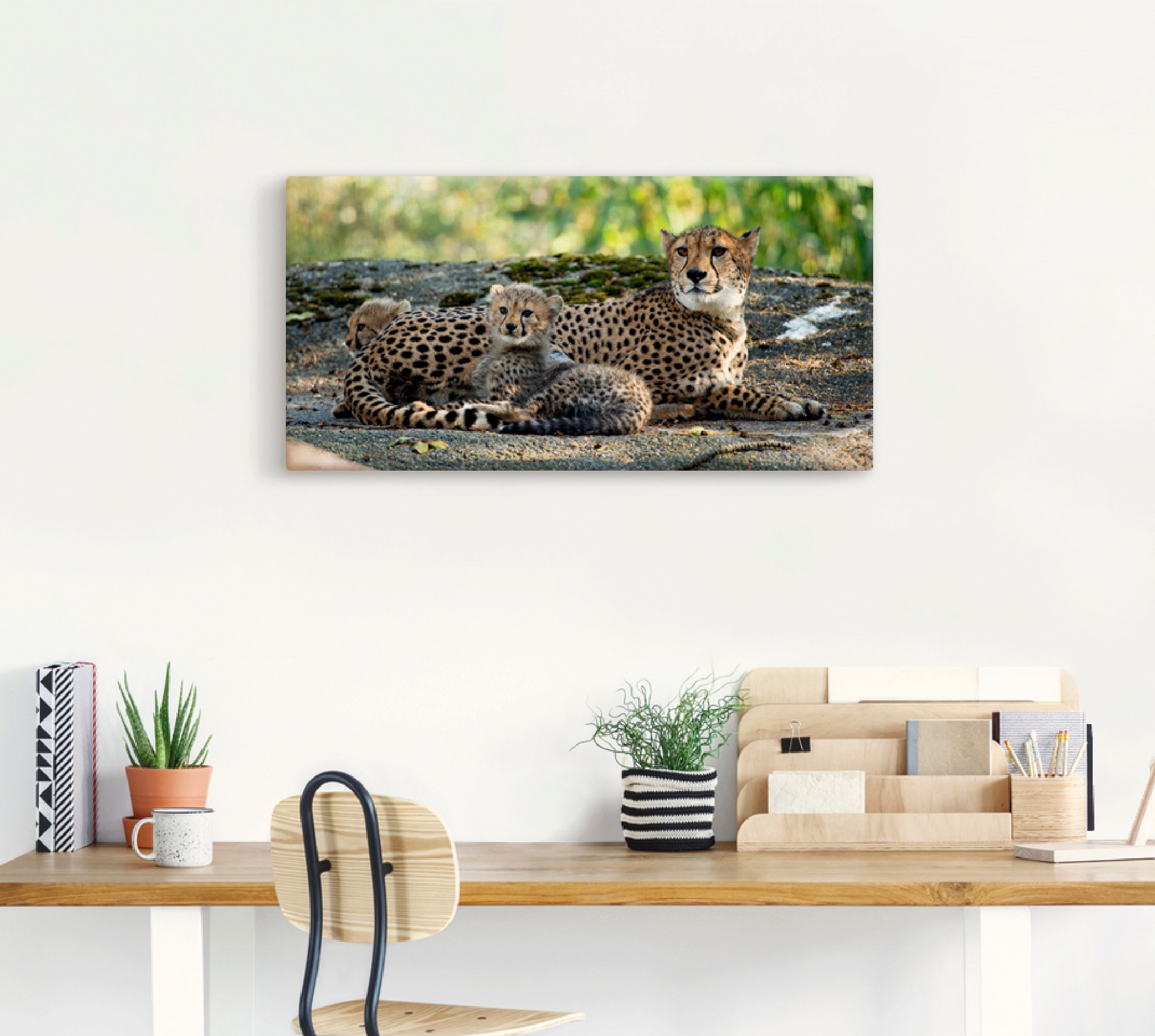 Artland Leinwandbild "Gepard 2" Wildtiere 1 Stk. tlg. auf Holzrahmen gespan günstig online kaufen