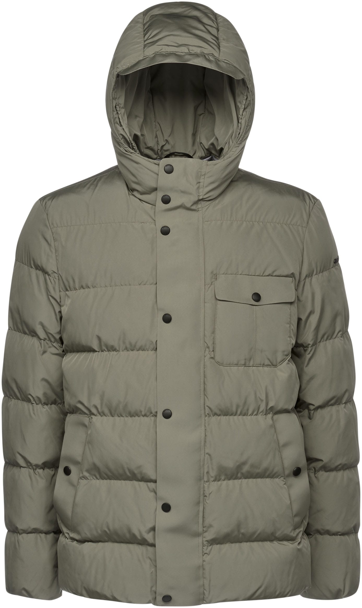 Geox Steppjacke "PIEVE", mit Kapuze, mit verdecktem Reißverschluss & Drucke günstig online kaufen