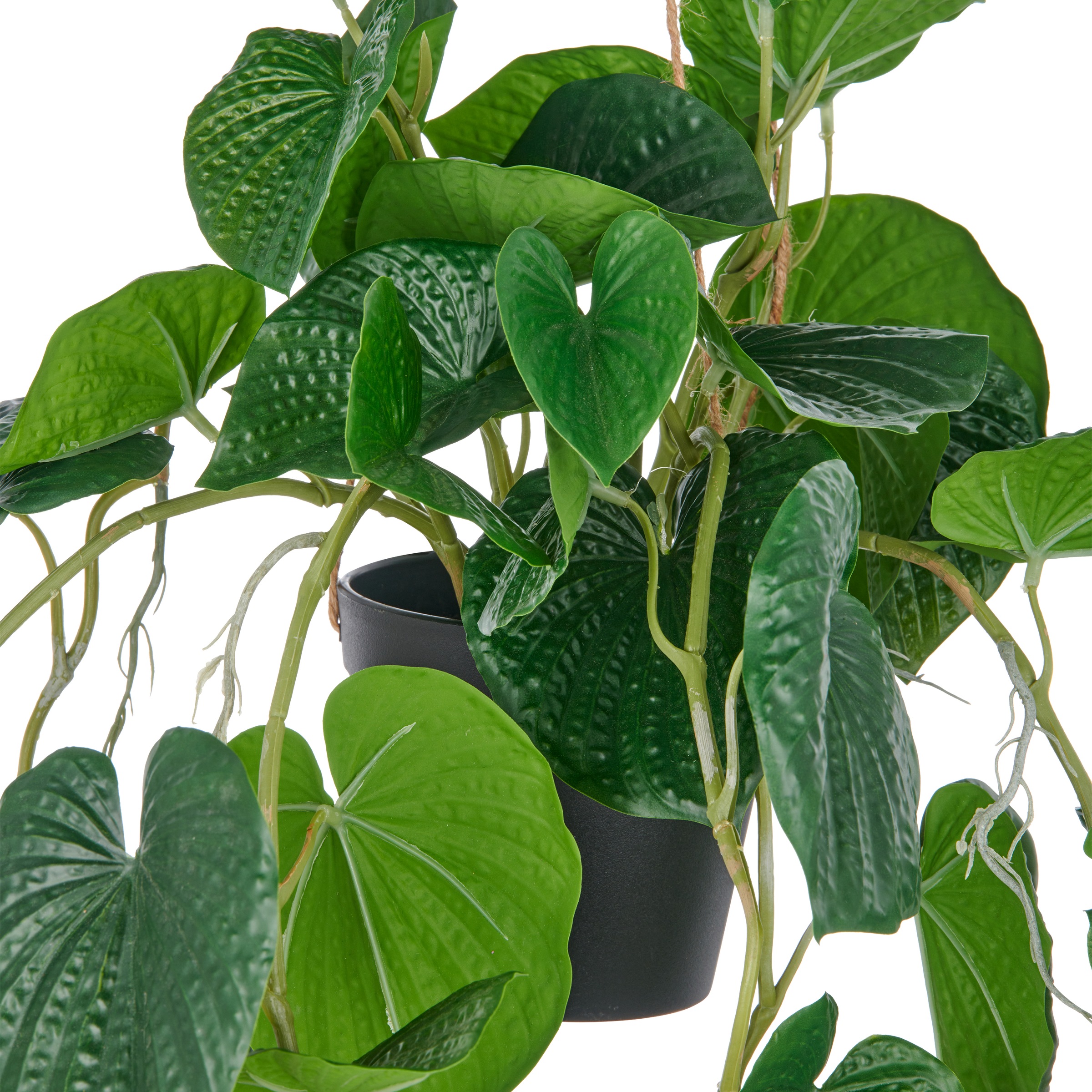 Creativ green Kunstpflanze »Hängende Peperomia caperata«, mit üppigen Ranken