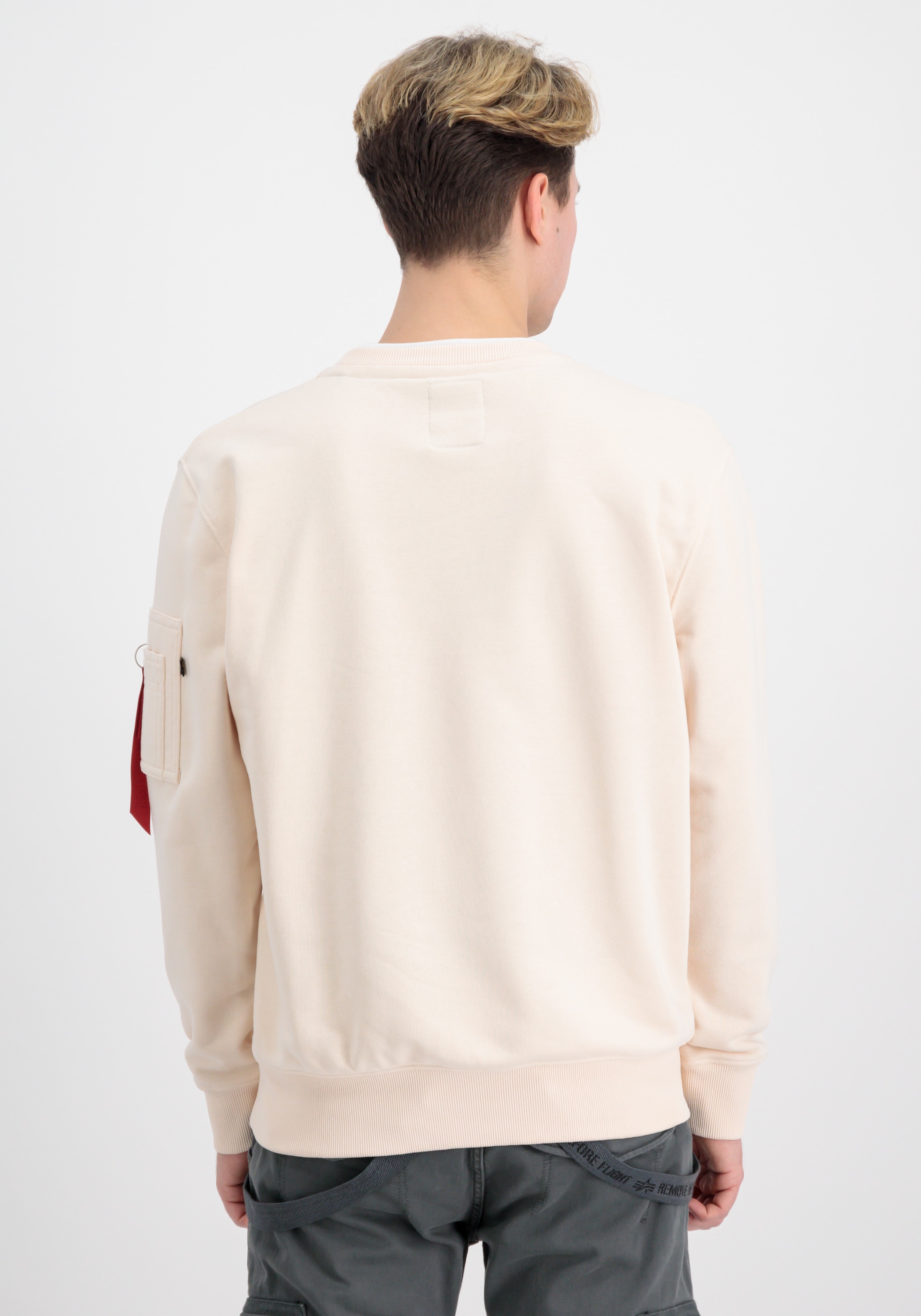 Alpha Industries Sweater »Alpha Industries Men Sweats & Hoodys Double Layer Sweater«