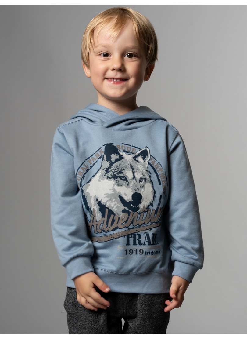 großem »TRIGEMA online mit Sweatshirt Trigema Hoodie BAUR | bestellen Wolf-Print«