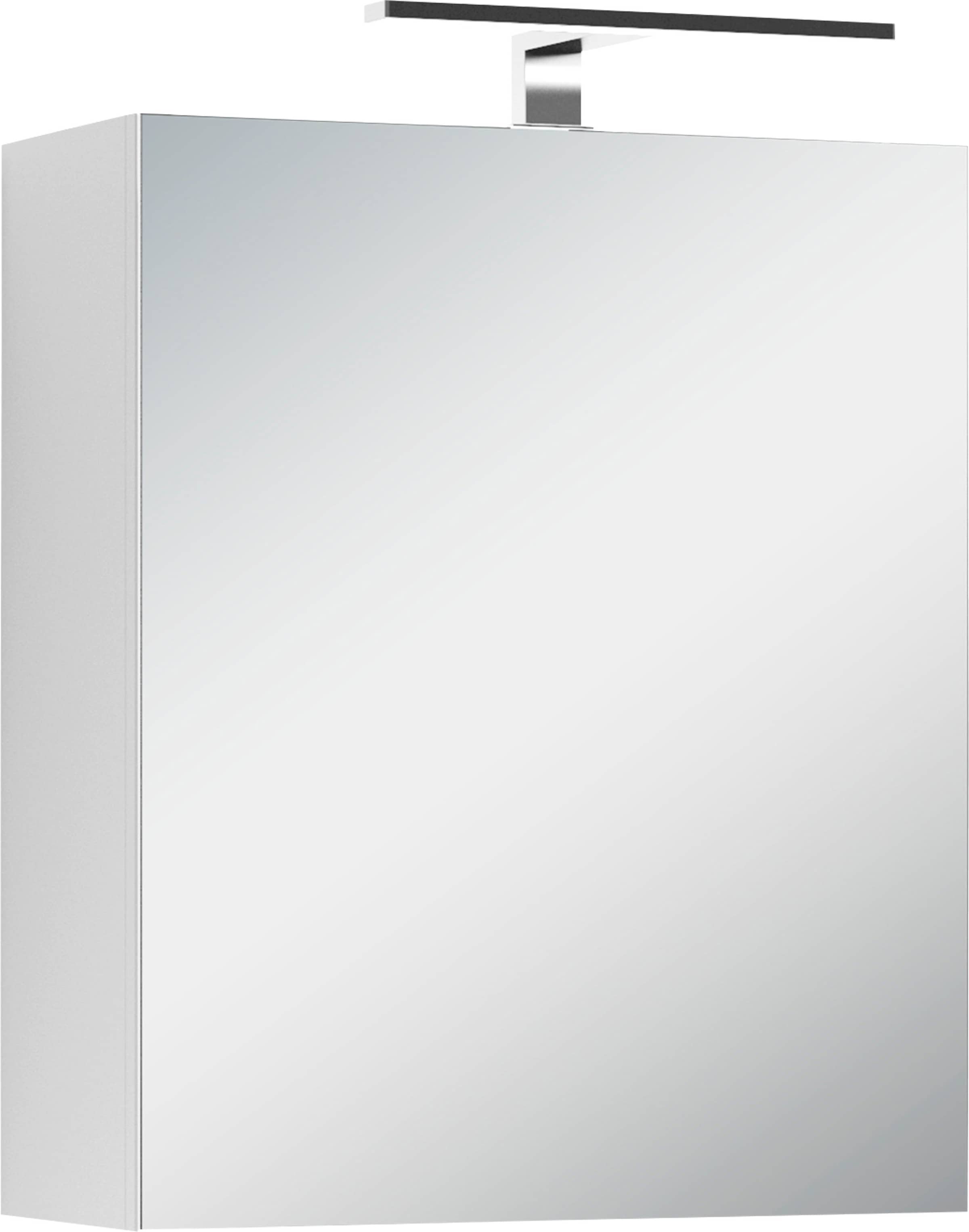 1-türig, cm, BAUR mit und 50 byLIVING Schalter-/Steckdosenbox bestellen Beleuchtung Spiegelschrank Breite | »Spree«, LED