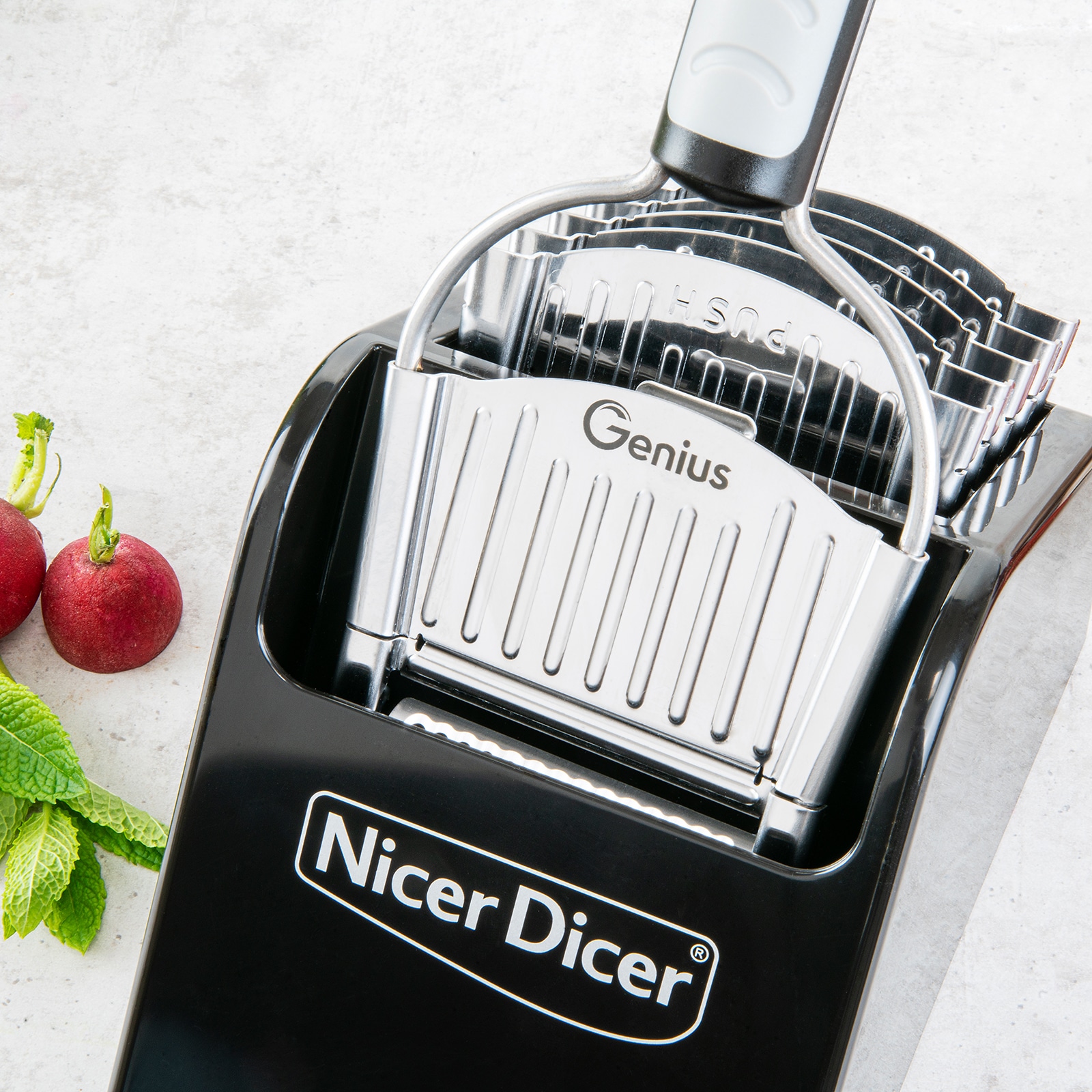 Genius Aufbewahrungsbox »Nicer Dicer Speed«, zum platzsparenden Verstauen des Nicer Dicer Speed inkl. Zubehör